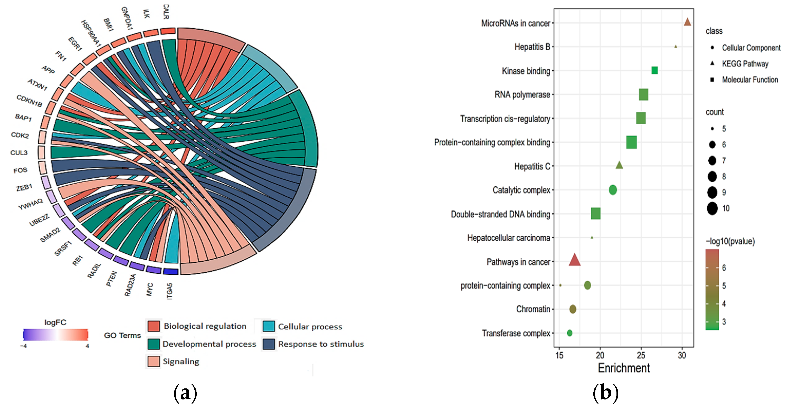 Ijms 24 07207 g004 Ijms 24 07207 g004