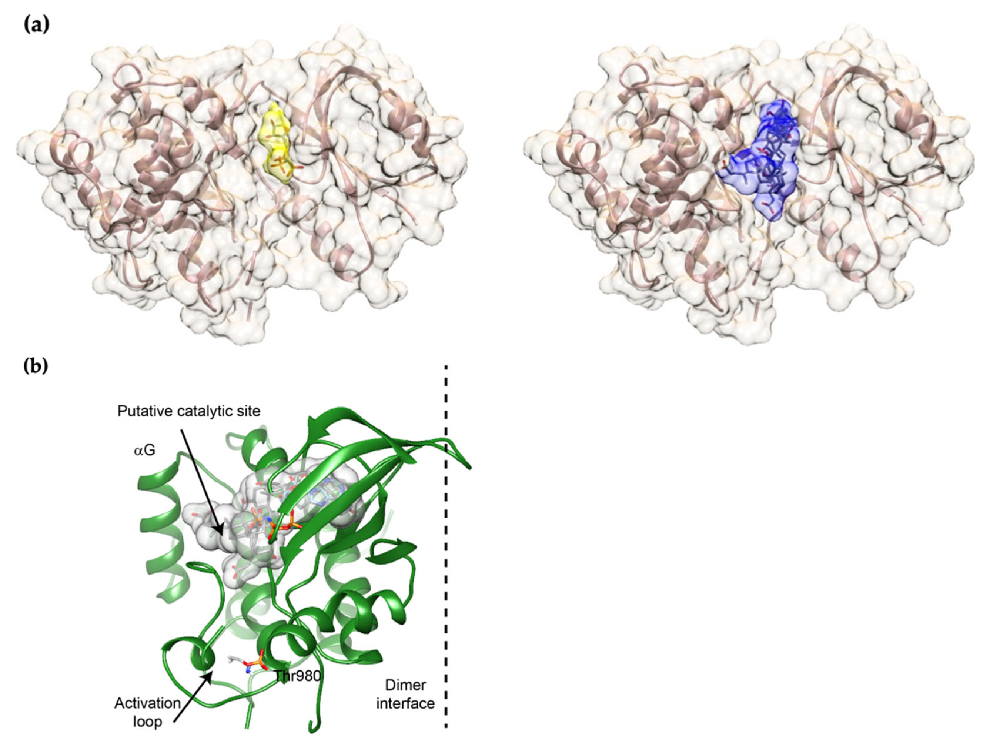 Ijms 24 07209 g002 Ijms 24 07209 g002