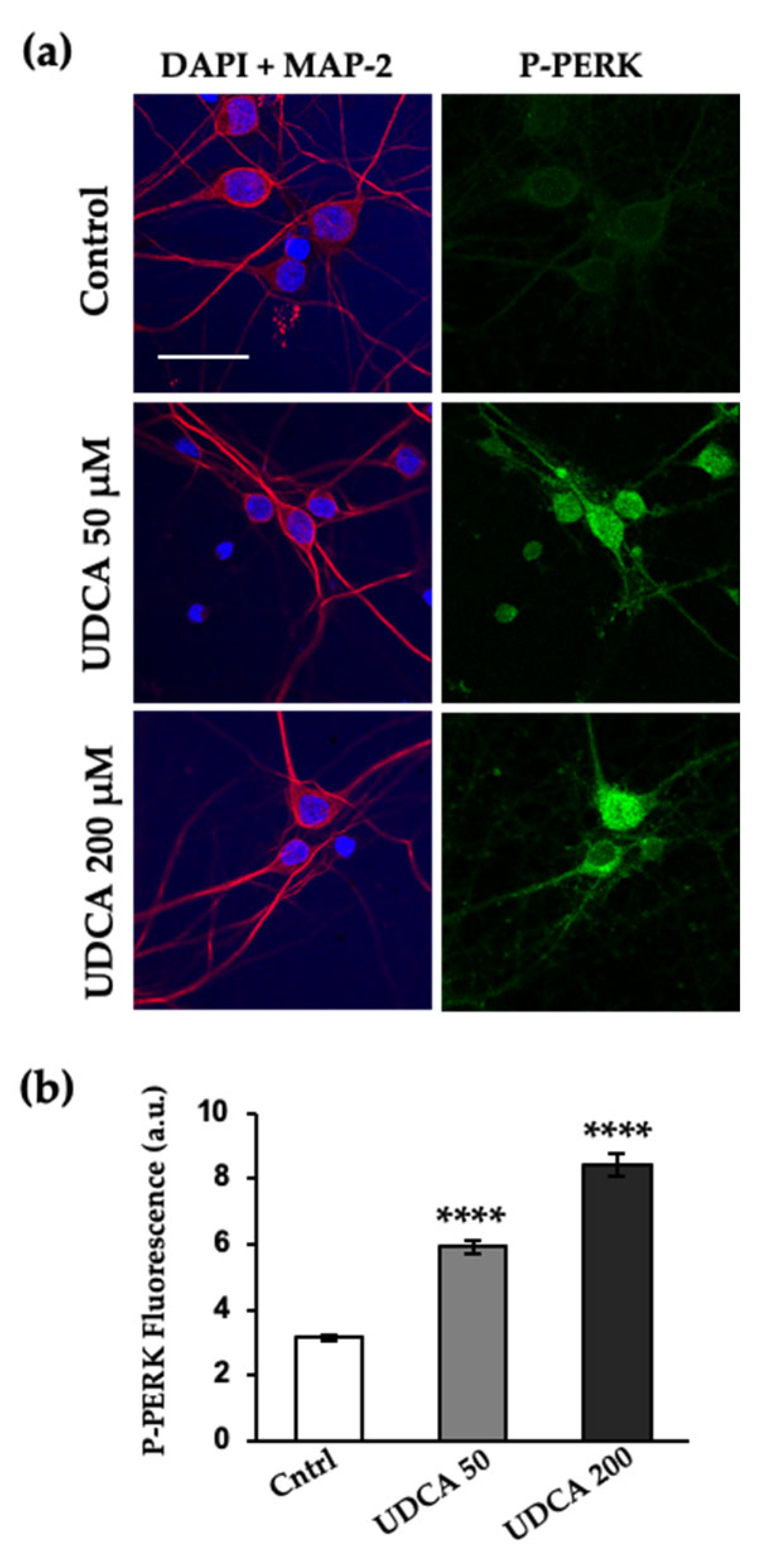 Ijms 24 07209 g003 Ijms 24 07209 g003