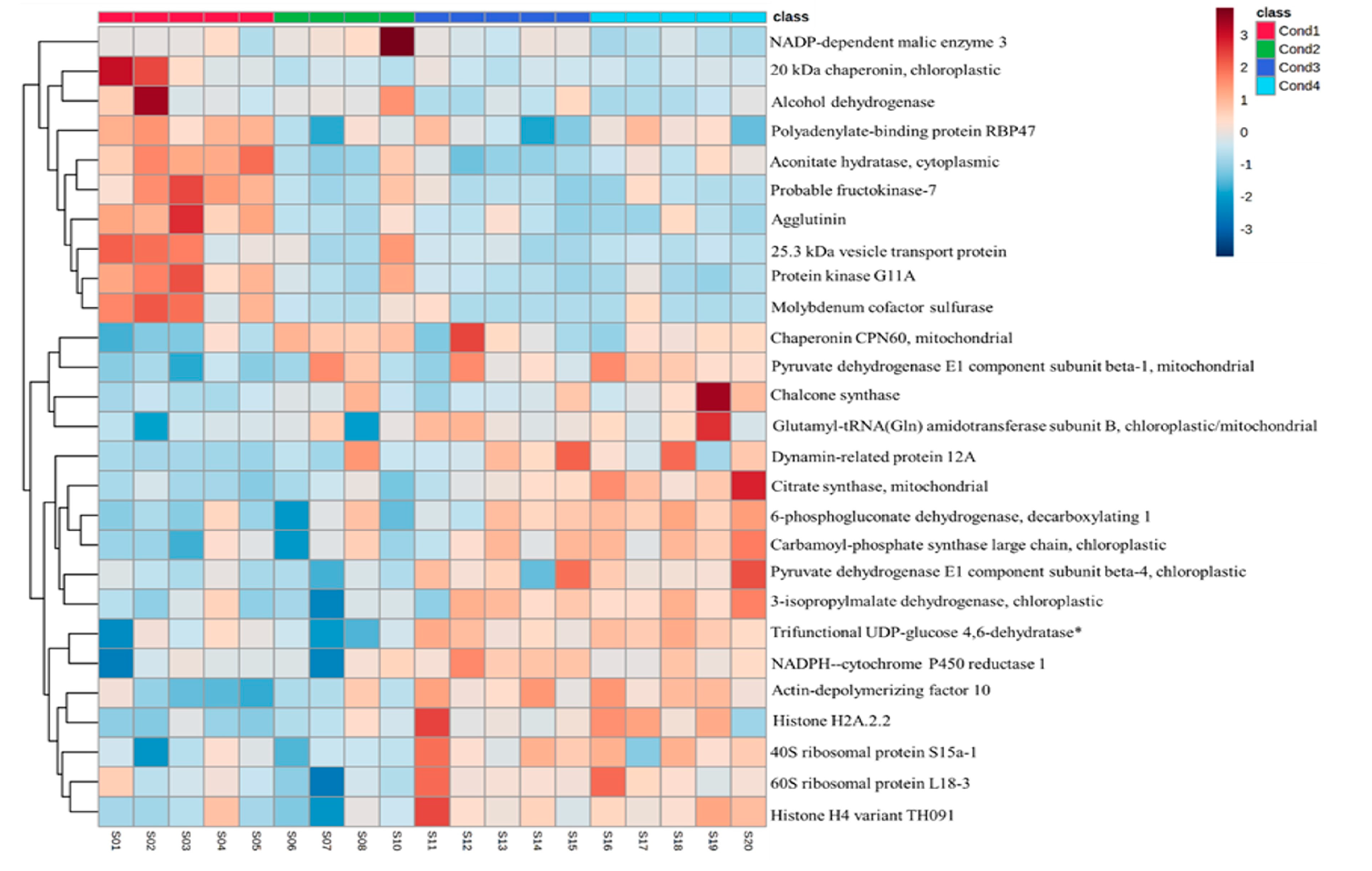 Ijms 24 07211 g004 Ijms 24 07211 g004