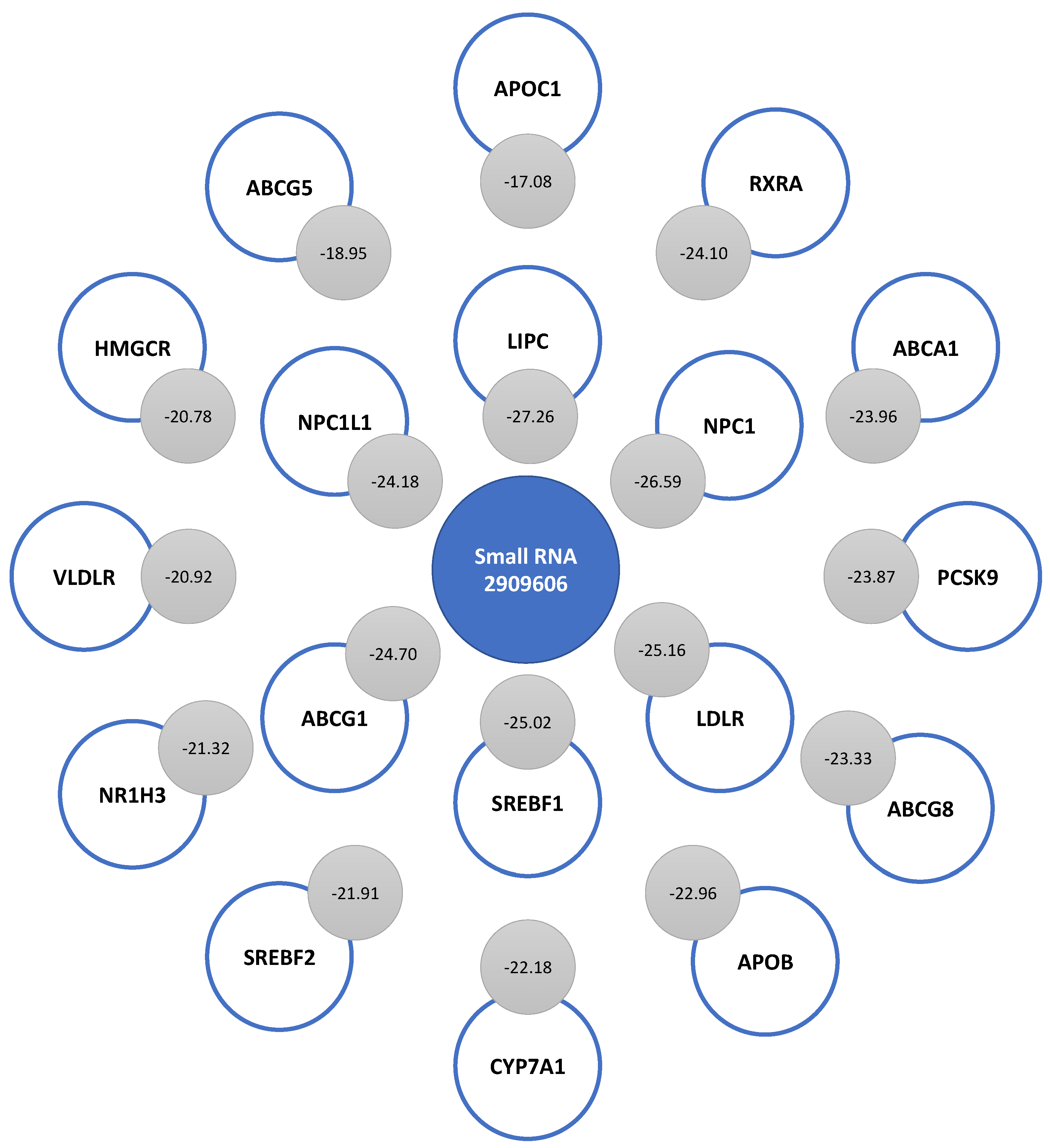 Ijms 24 07213 g006 Ijms 24 07213 g006