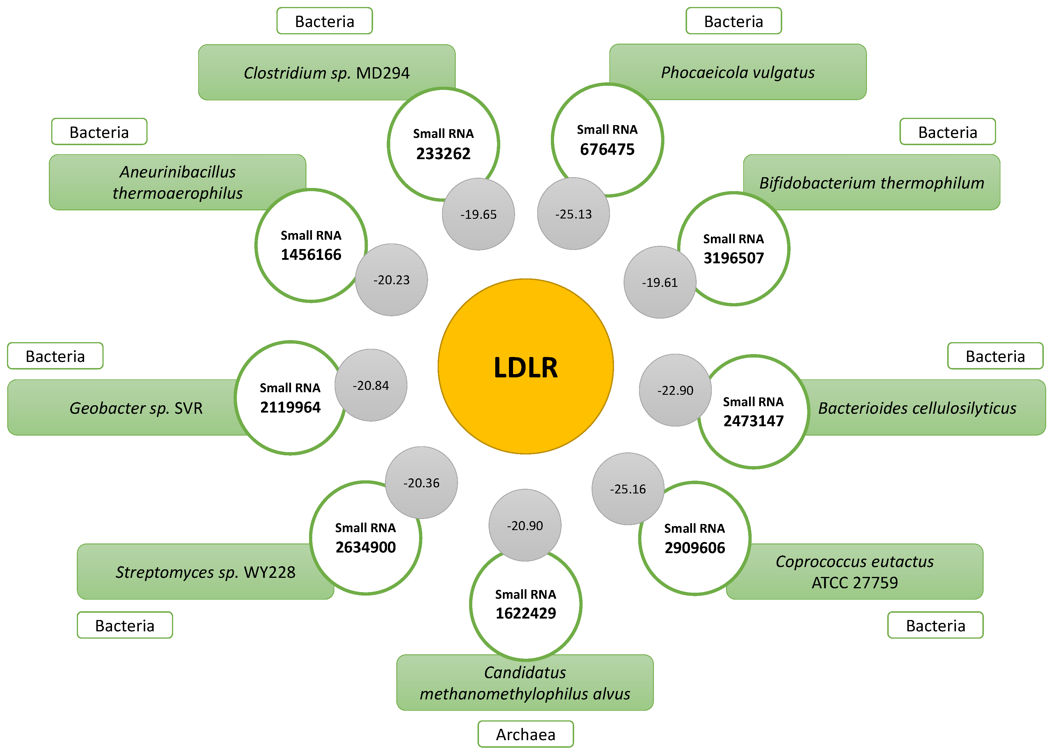 Ijms 24 07213 g007 Ijms 24 07213 g007