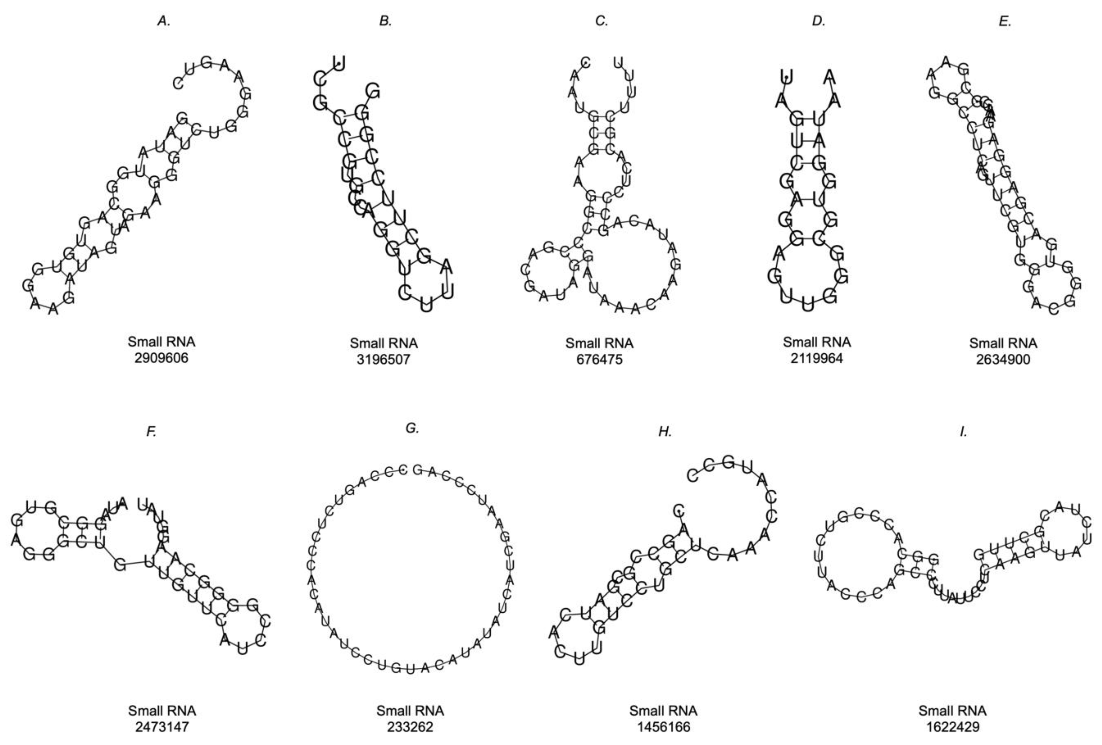 Ijms 24 07213 g008 Ijms 24 07213 g008