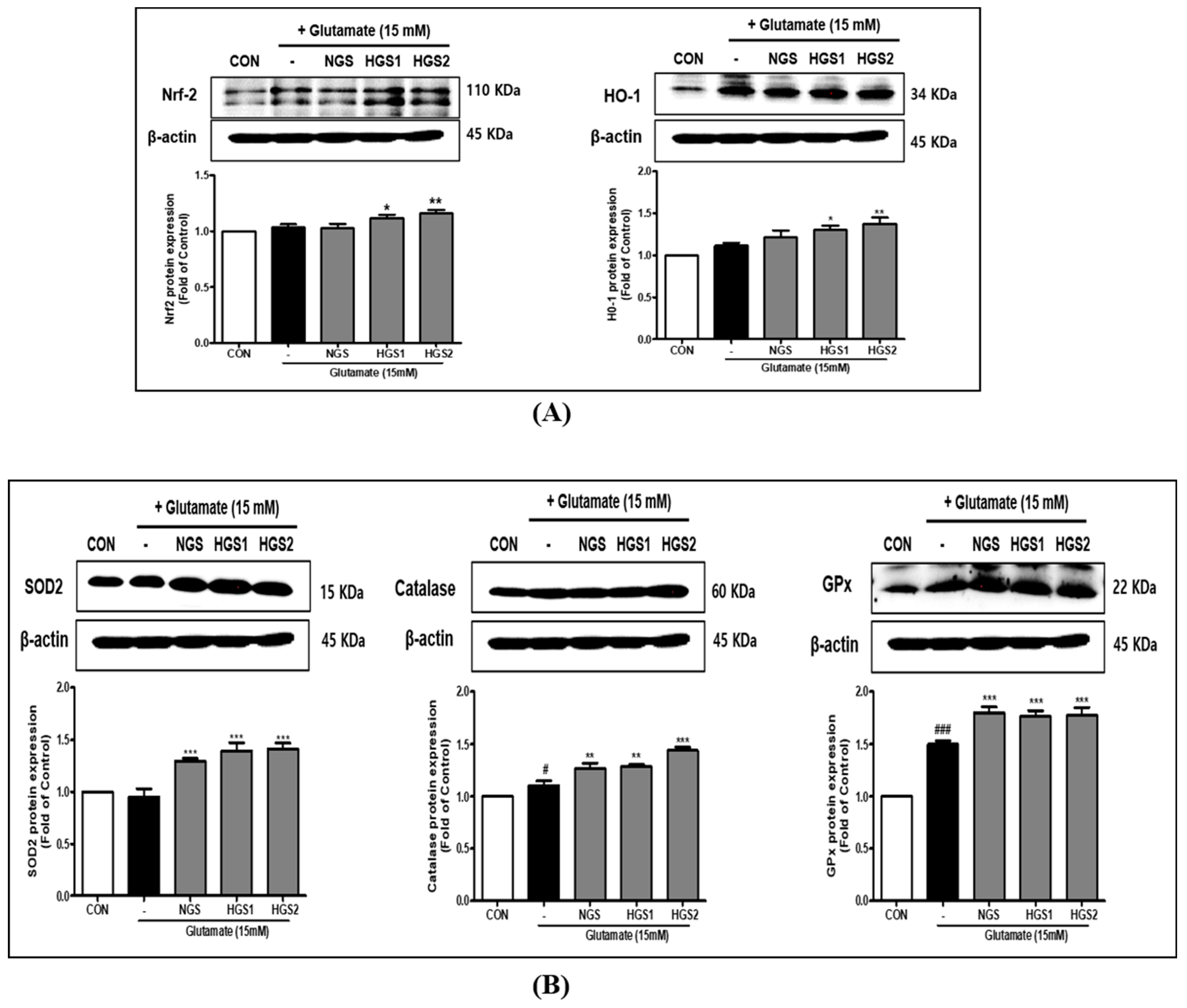 Ijms 24 07223 g004 Ijms 24 07223 g004
