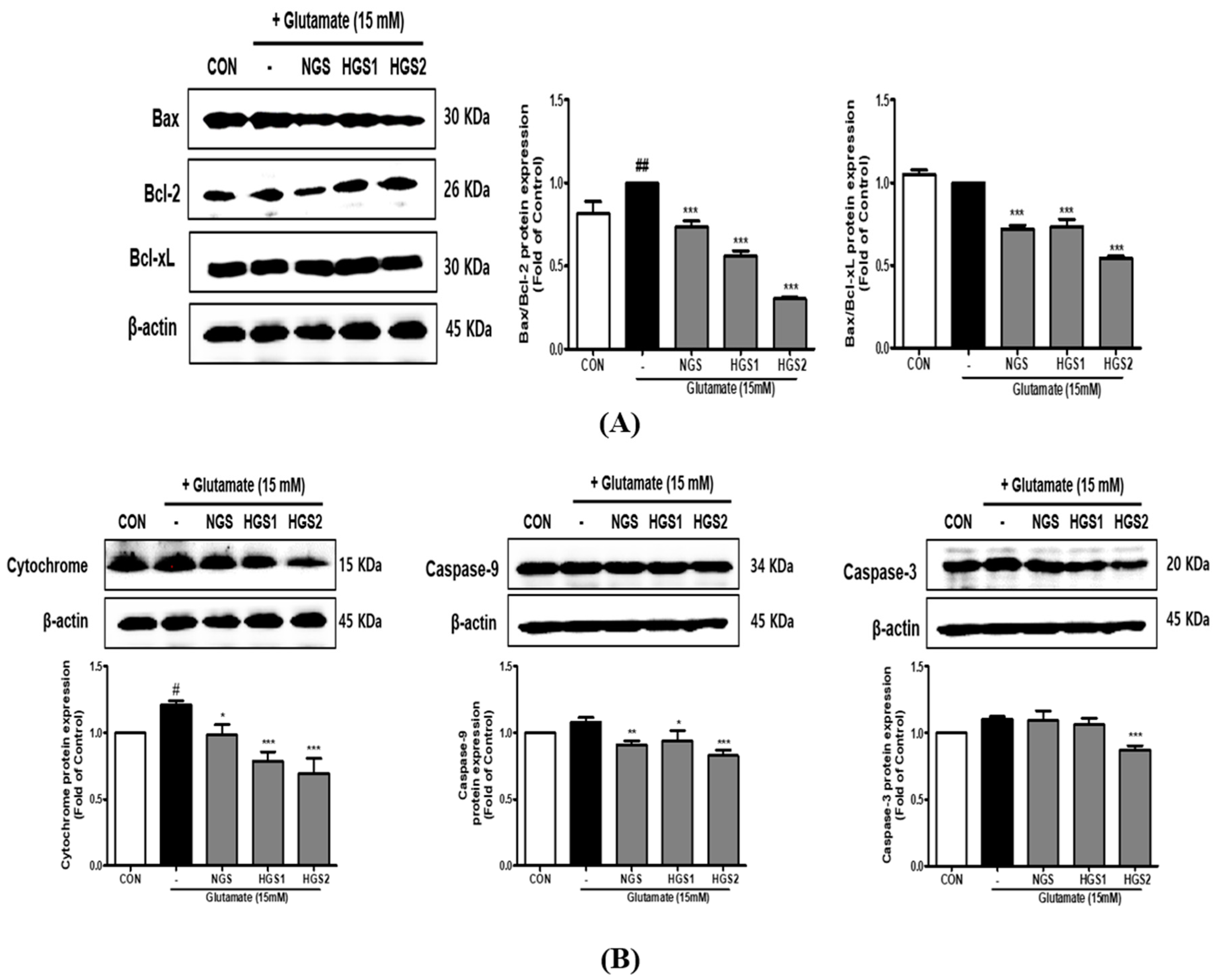 Ijms 24 07223 g005 Ijms 24 07223 g005