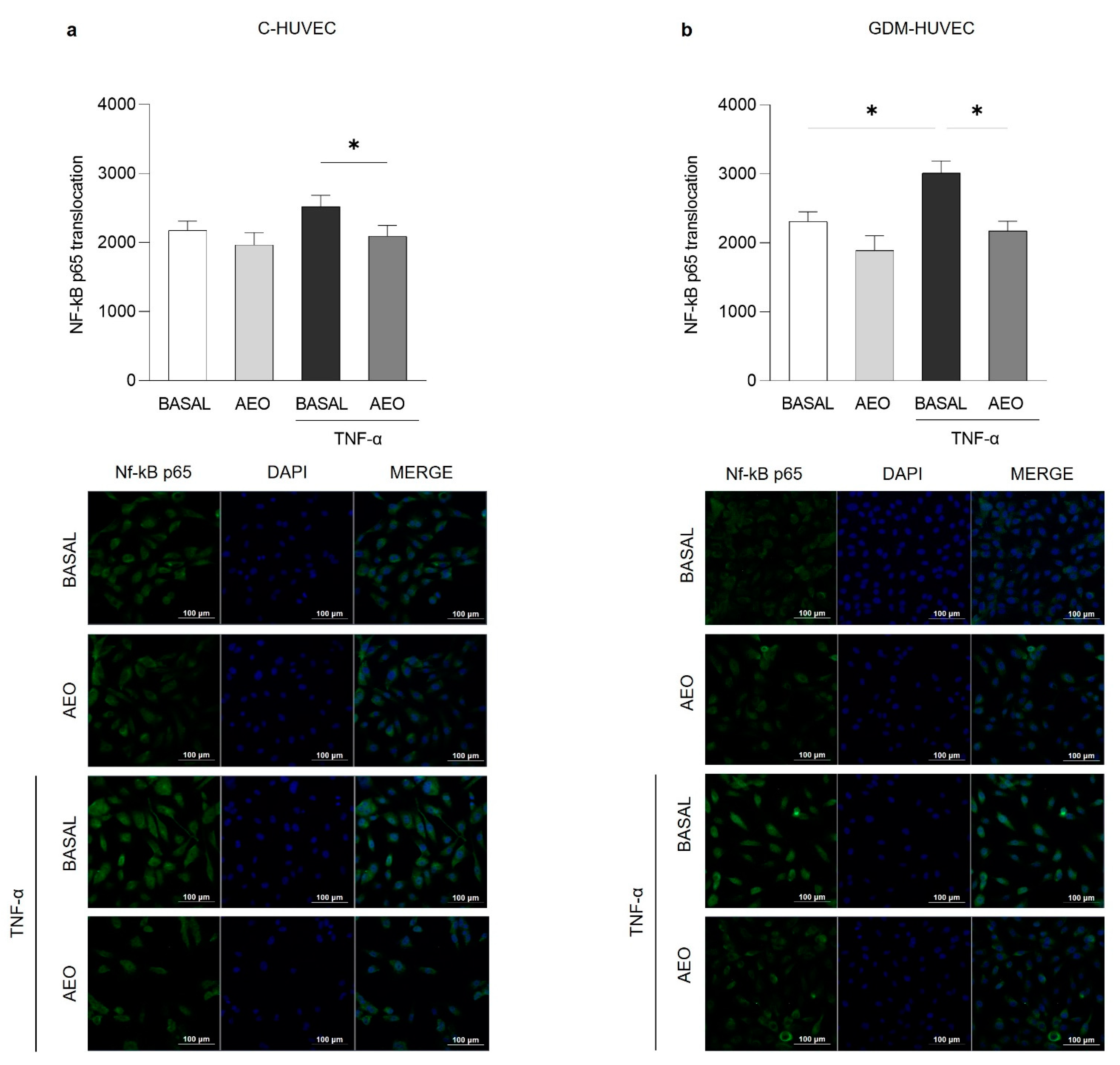 Ijms 24 07225 g006 Ijms 24 07225 g006
