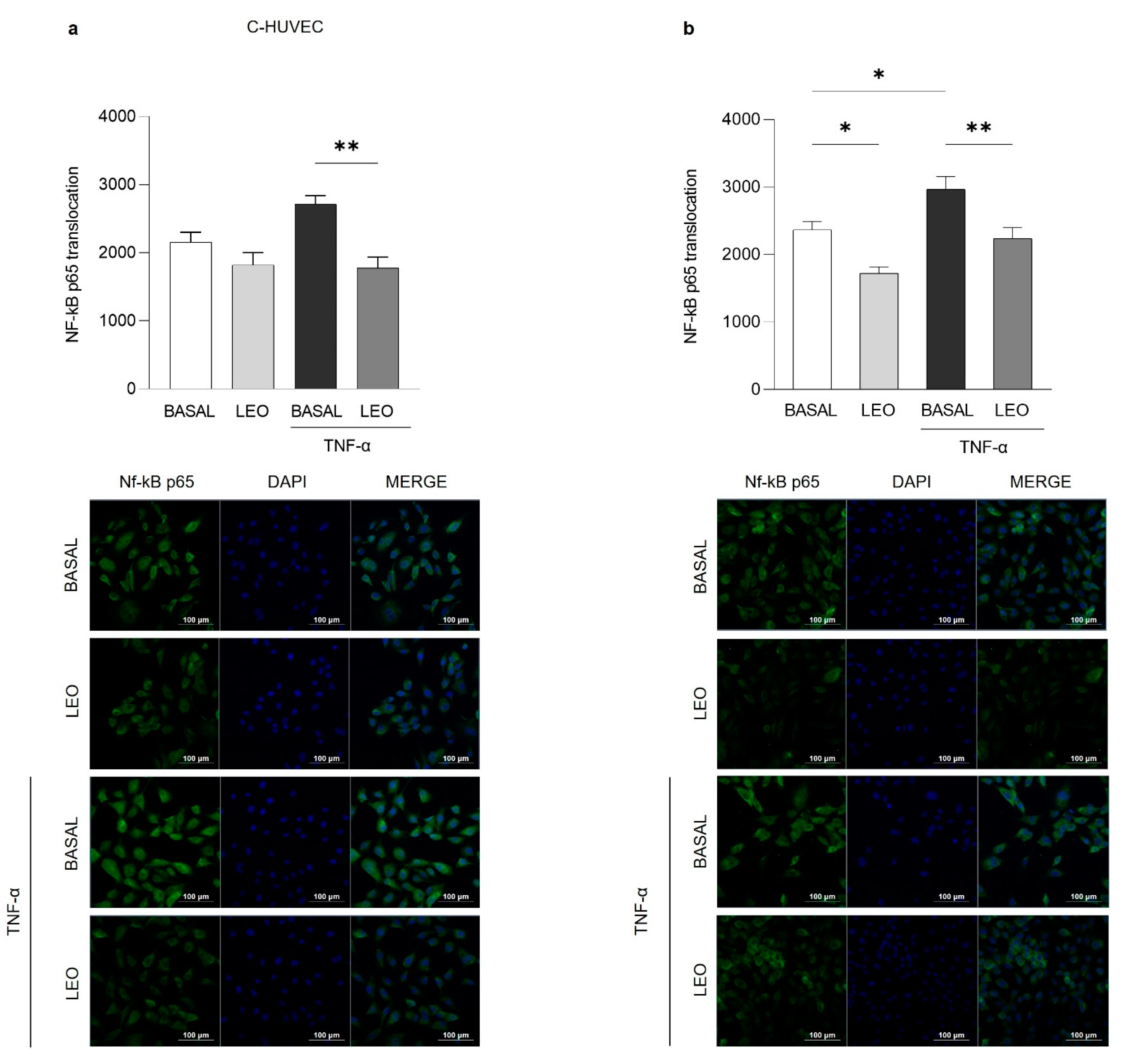 Ijms 24 07225 g007 Ijms 24 07225 g007