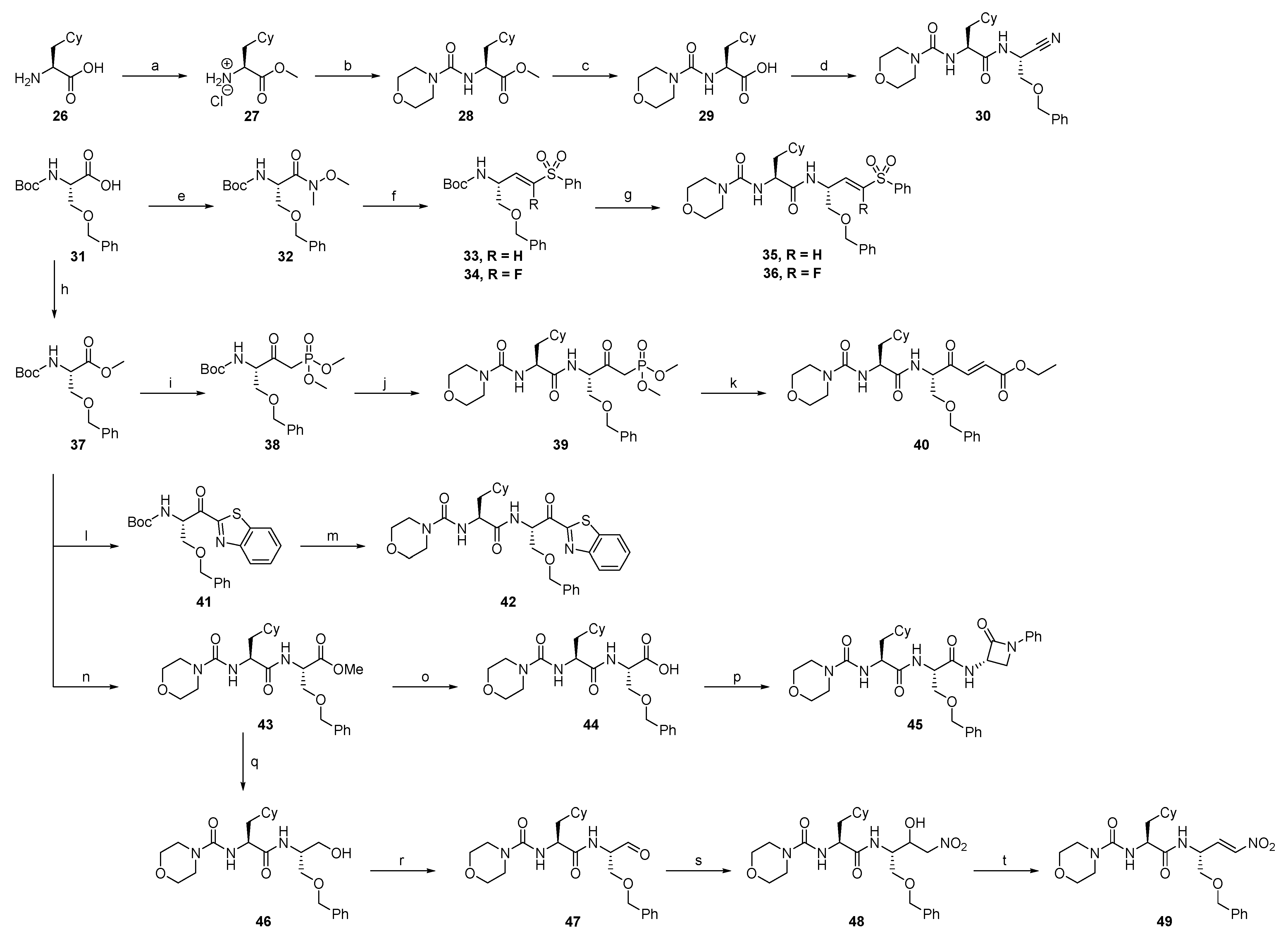 Ijms 24 07226 sch003