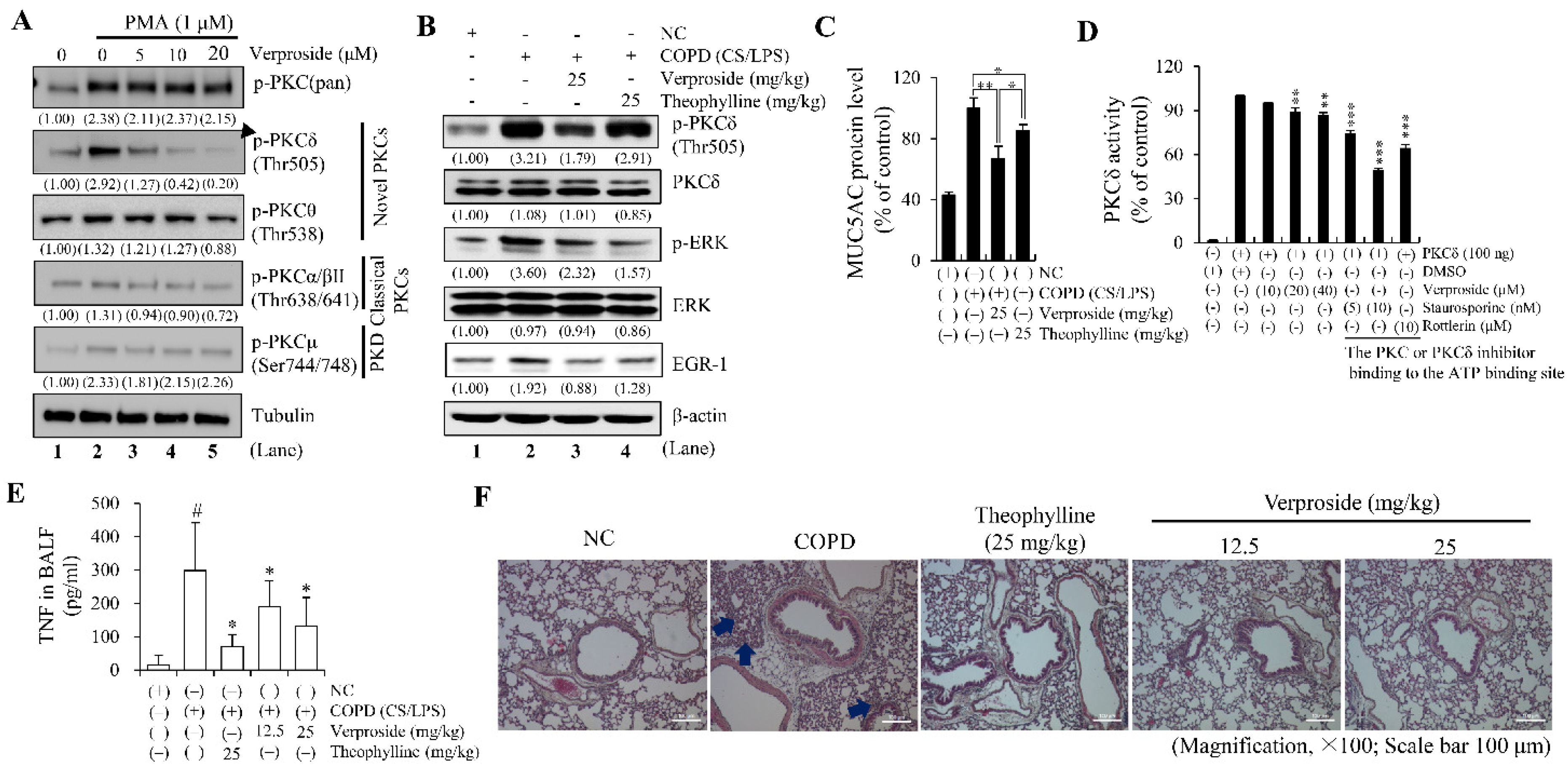 Ijms 24 07229 g006 Ijms 24 07229 g006