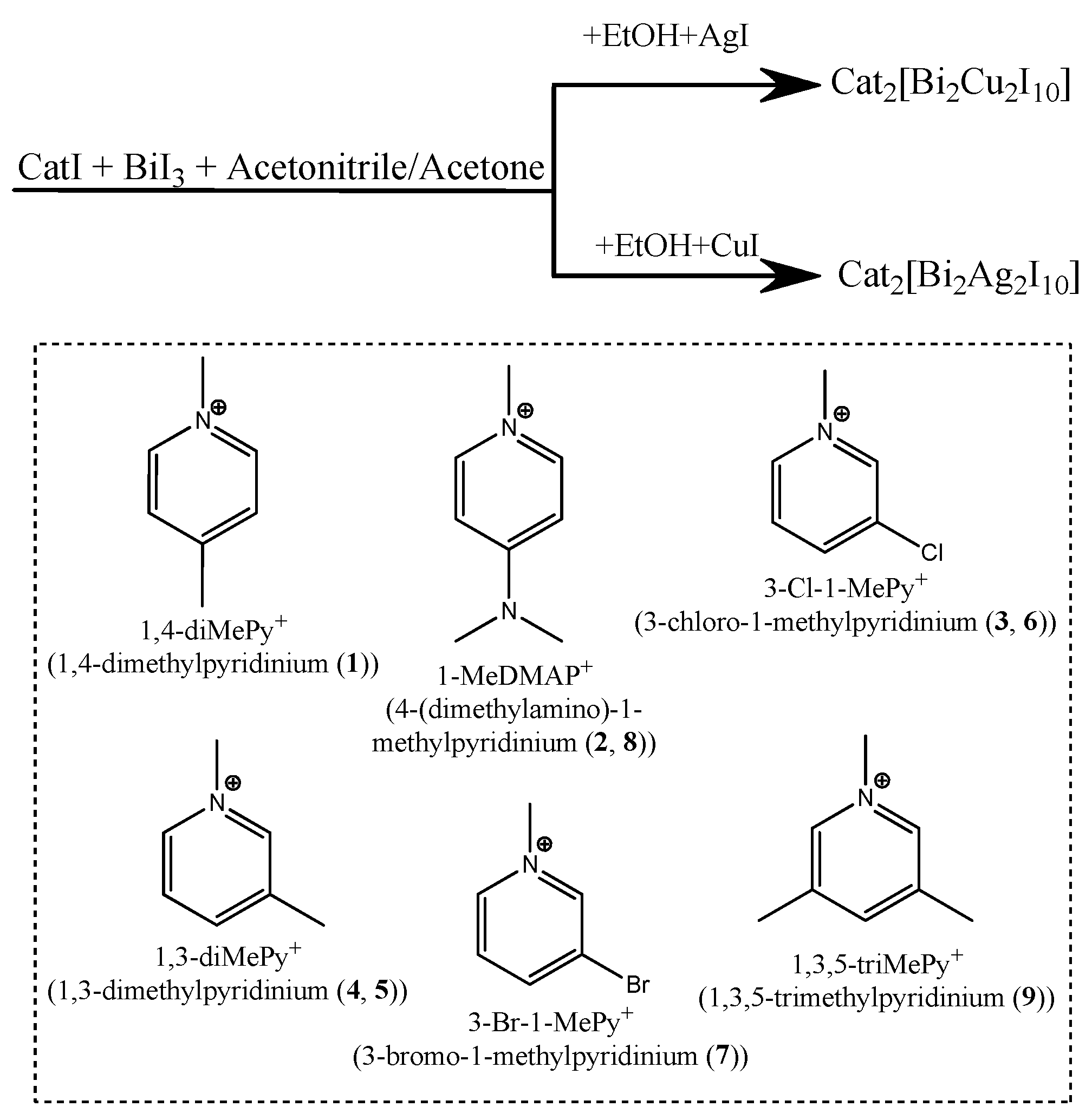 Ijms 24 07234 g001 Ijms 24 07234 g001