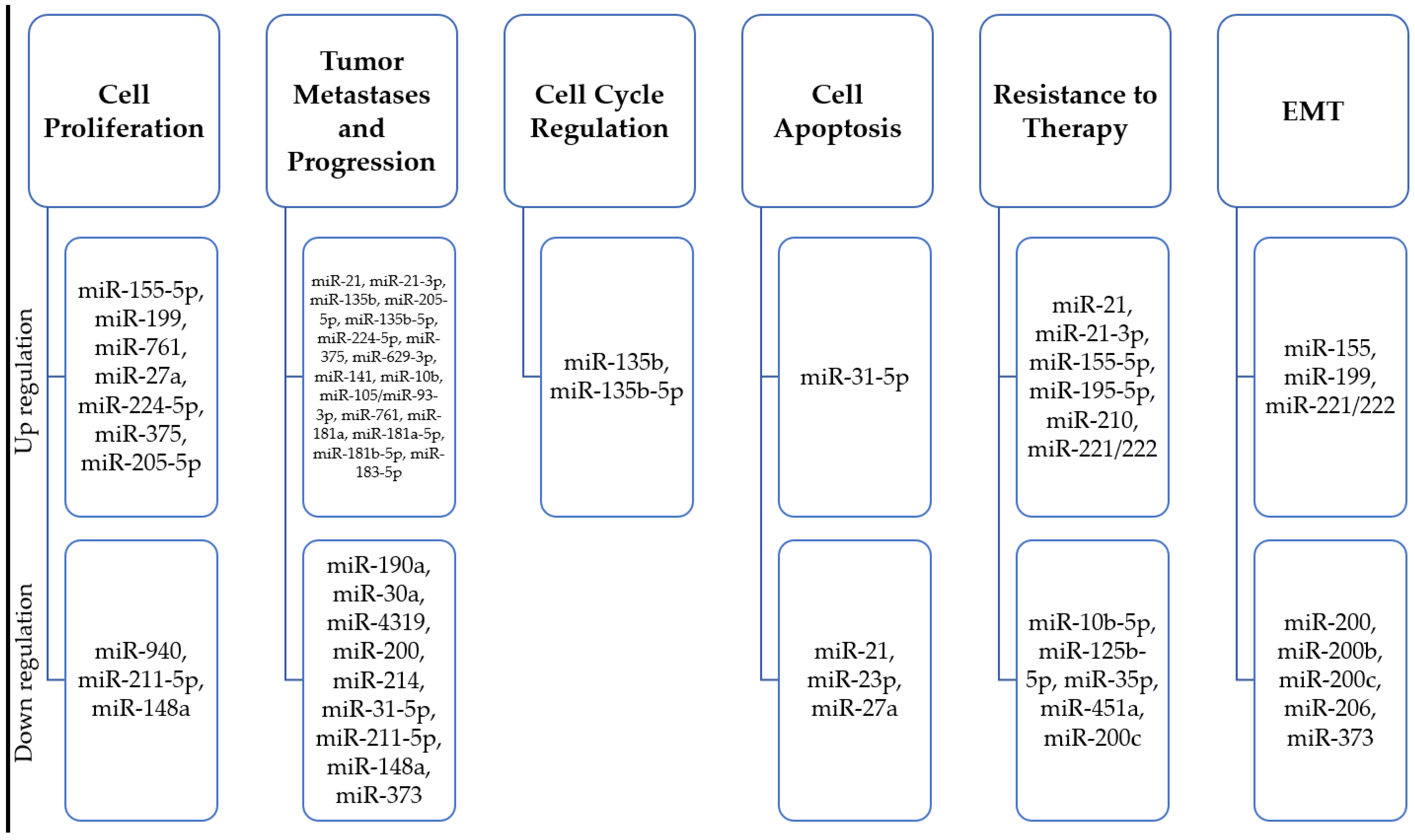 Ijms 24 07235 g002 Ijms 24 07235 g002