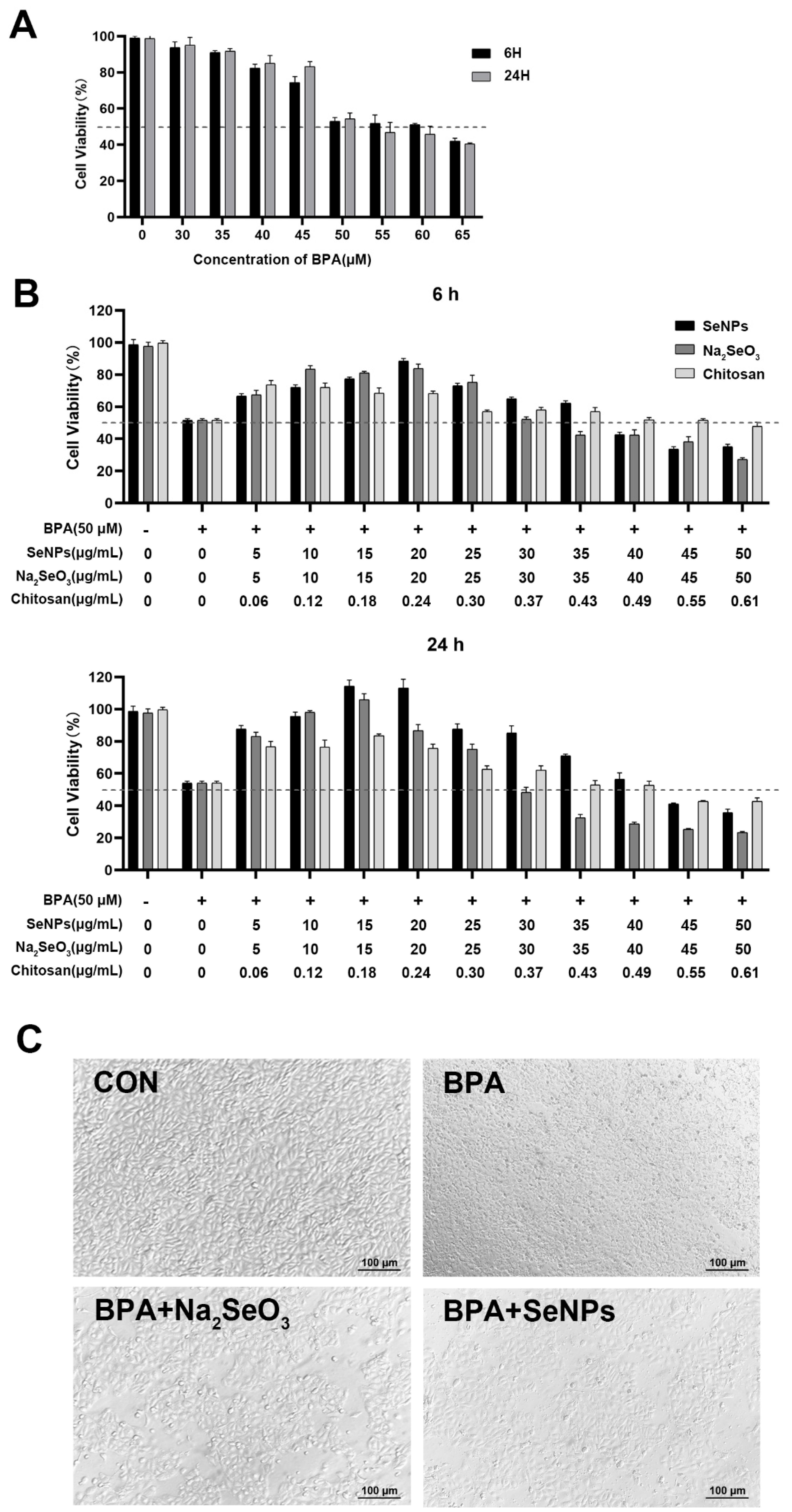 Ijms 24 07242 g002 Ijms 24 07242 g002