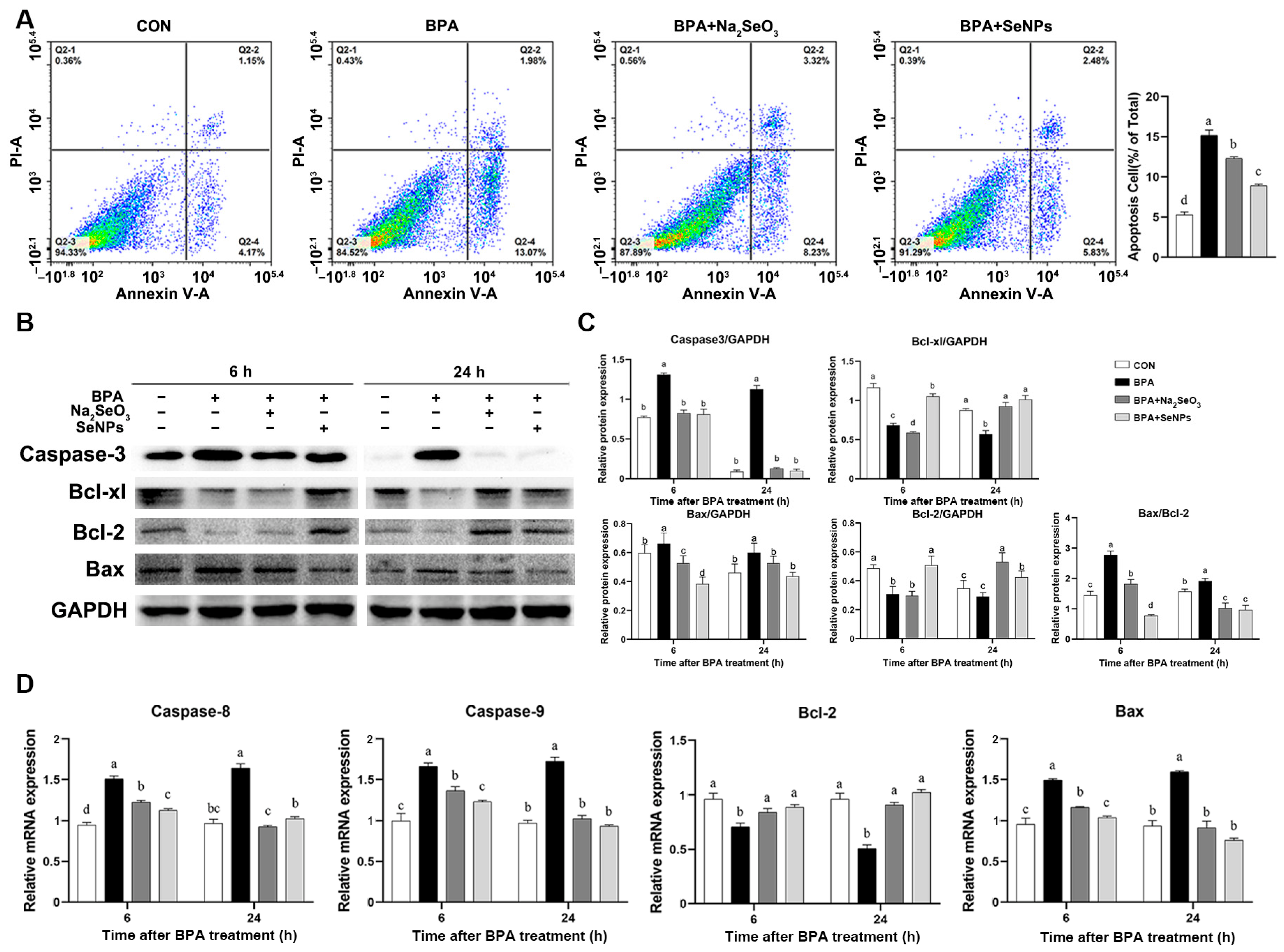 Ijms 24 07242 g004 Ijms 24 07242 g004