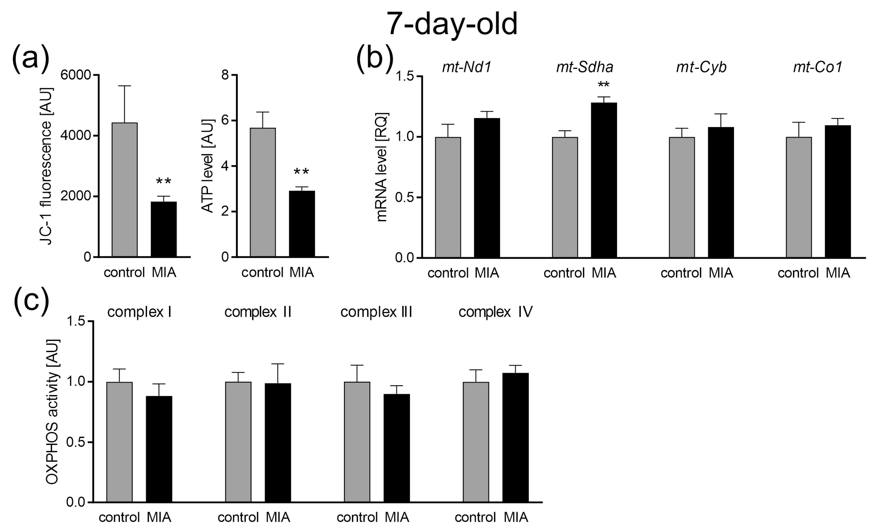 Ijms 24 07243 g004 Ijms 24 07243 g004