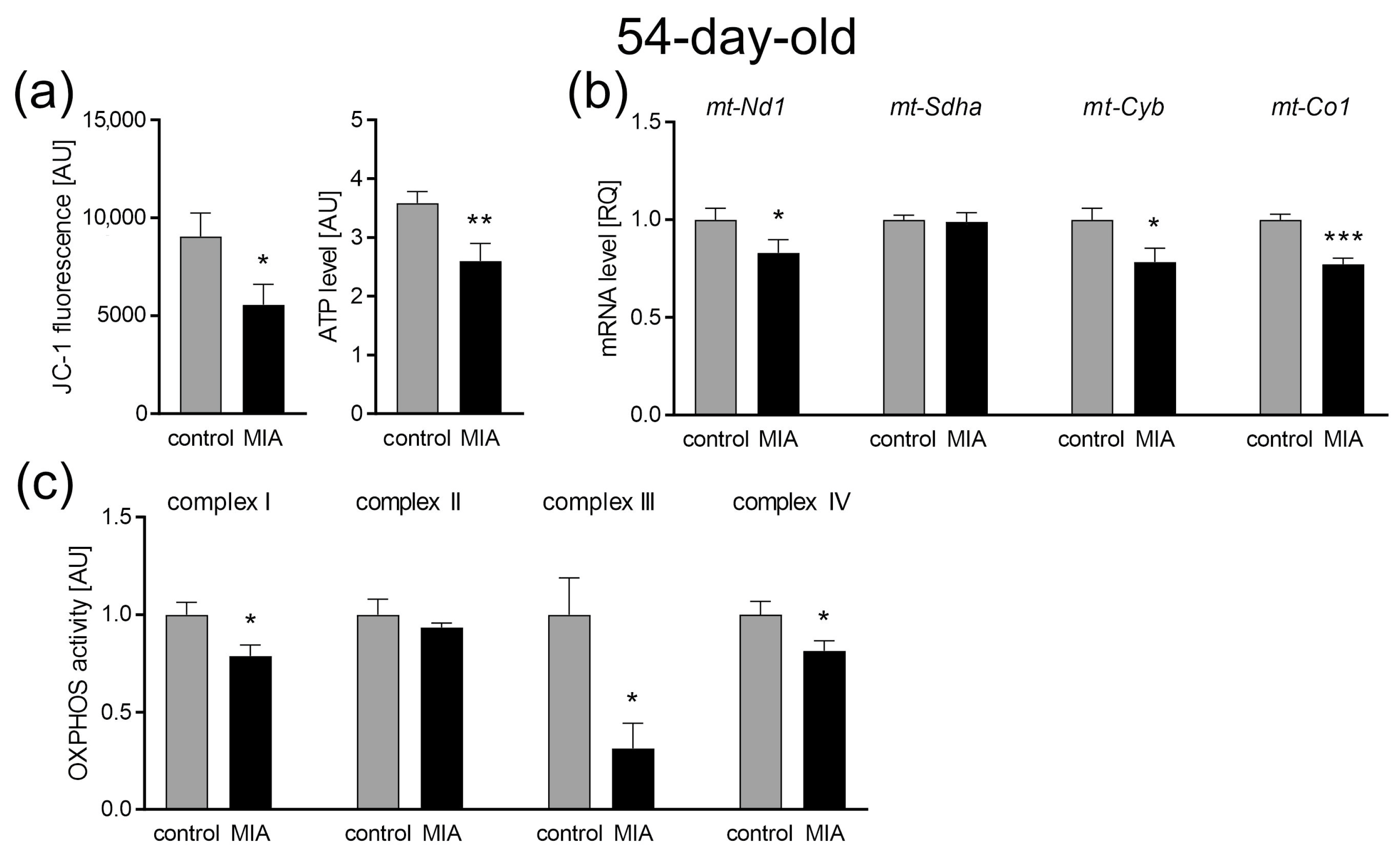 Ijms 24 07243 g008 Ijms 24 07243 g008