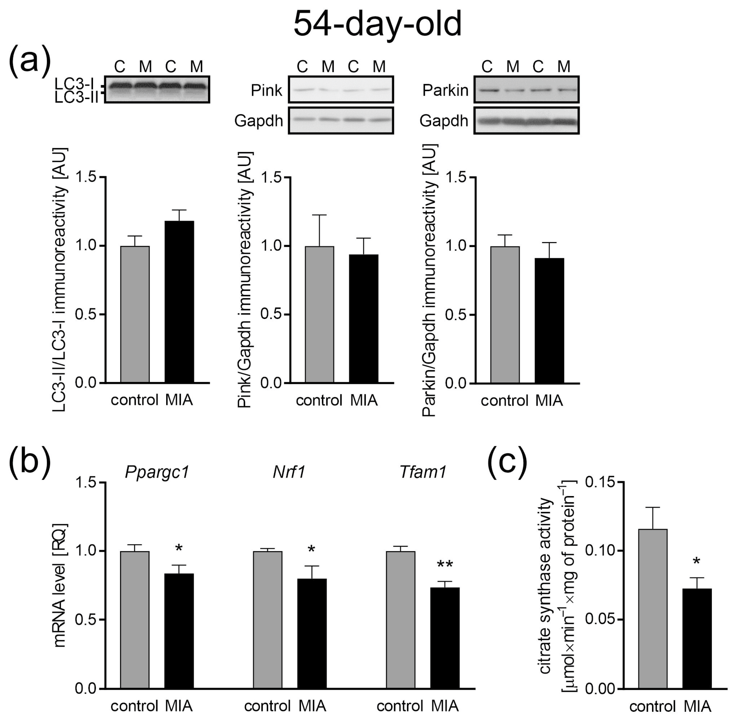 Ijms 24 07243 g010 Ijms 24 07243 g010