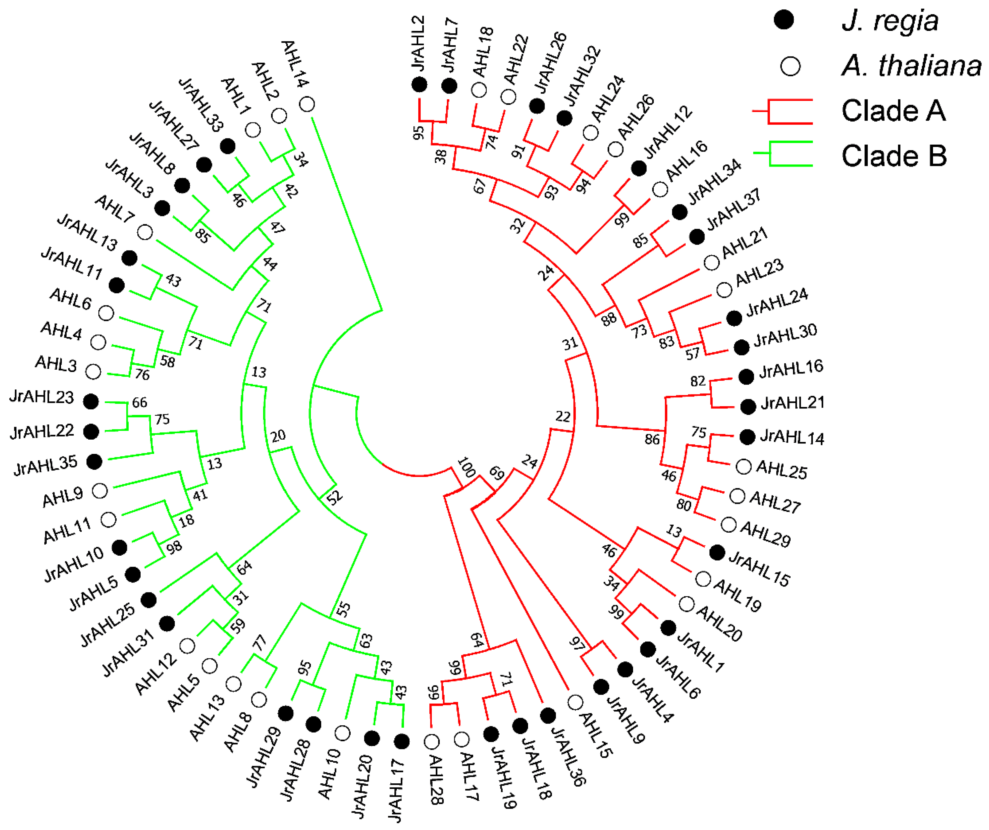 Ijms 24 07244 g001 Ijms 24 07244 g001