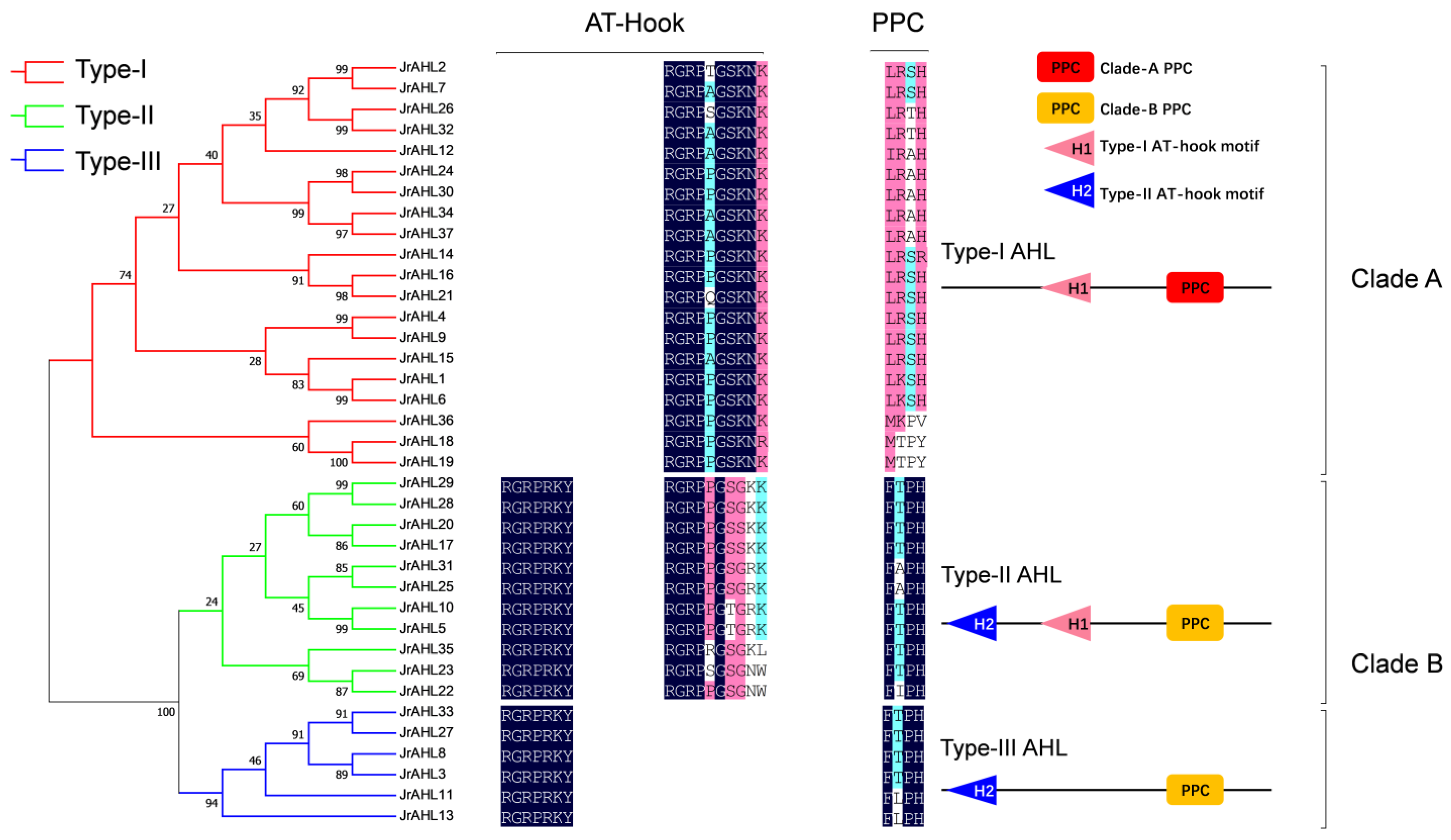 Ijms 24 07244 g002 Ijms 24 07244 g002