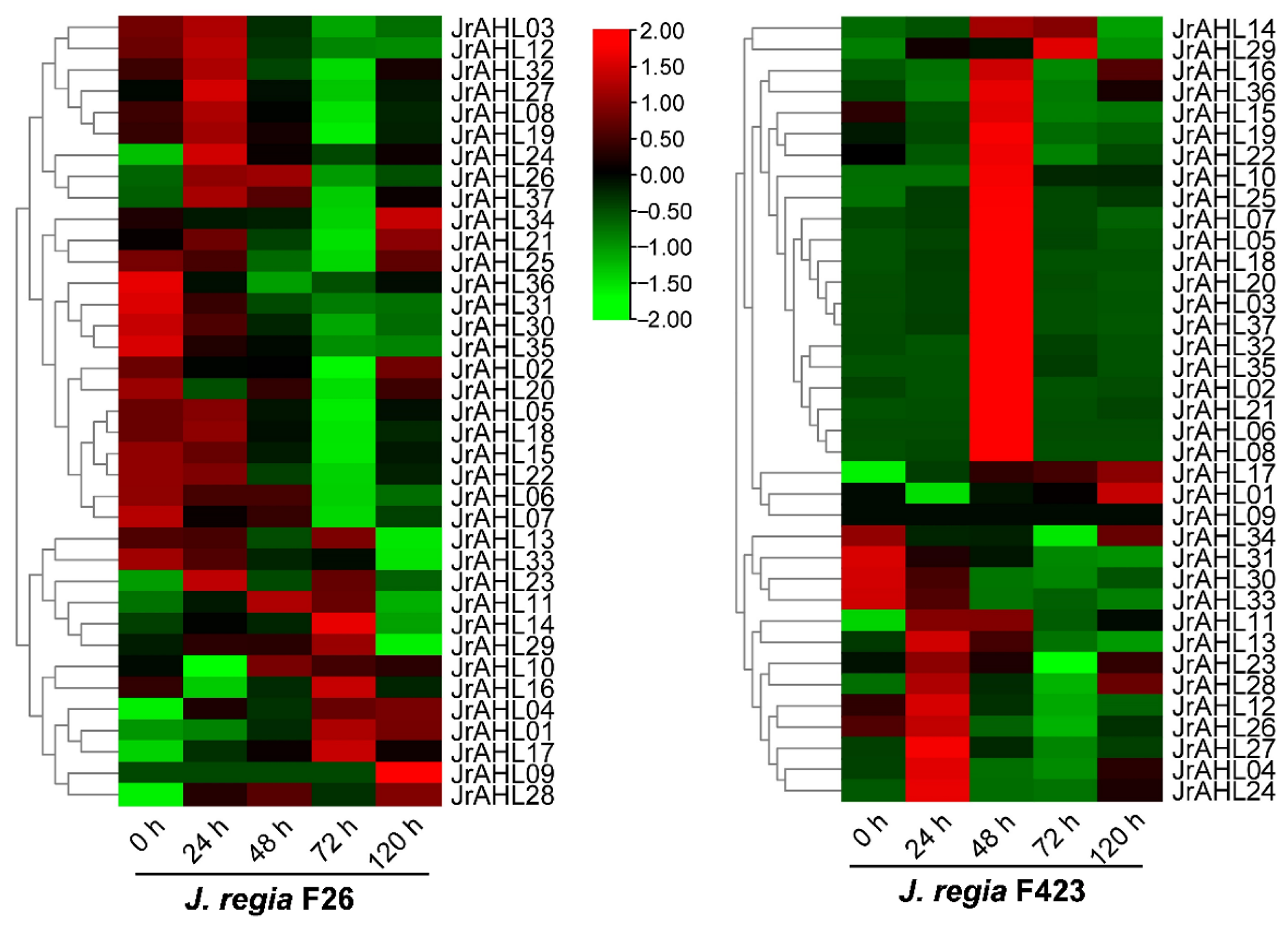 Ijms 24 07244 g007 Ijms 24 07244 g007