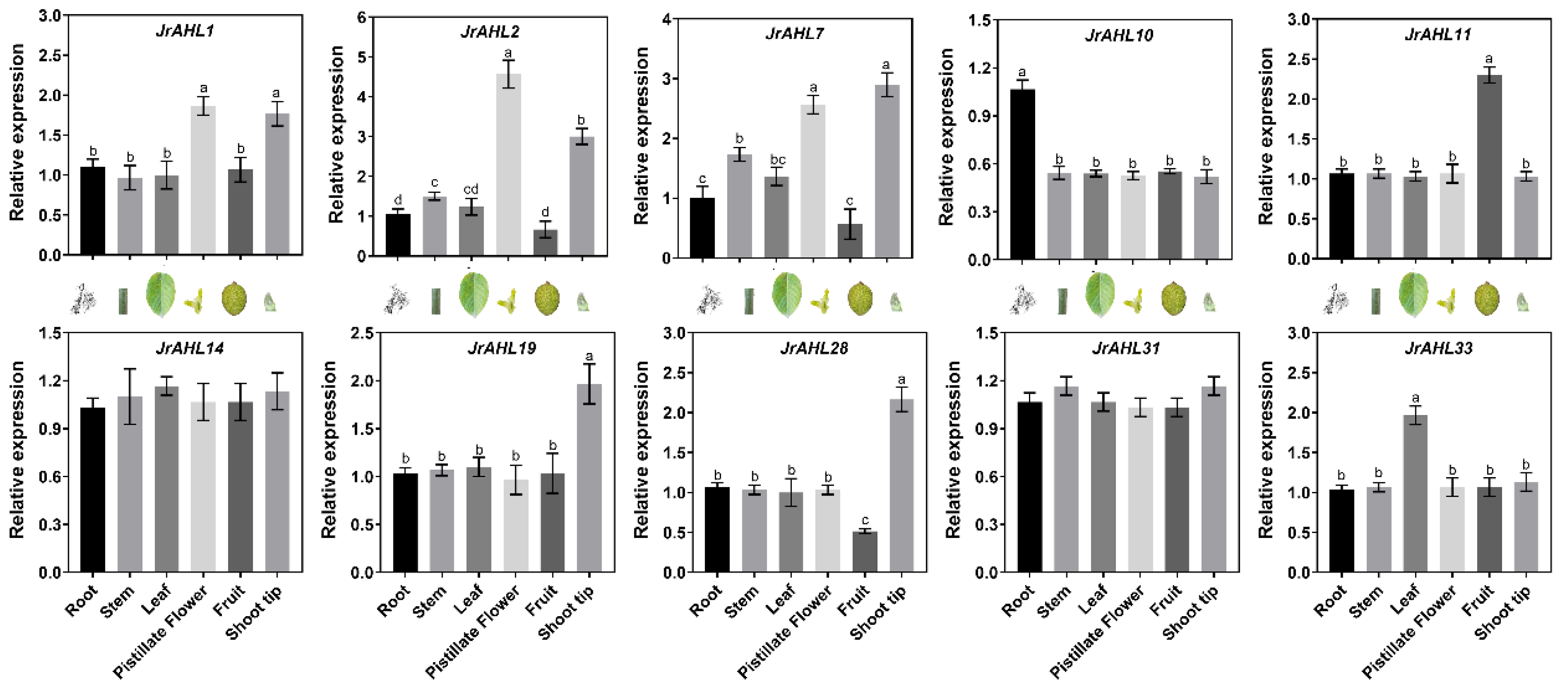 Ijms 24 07244 g009 Ijms 24 07244 g009