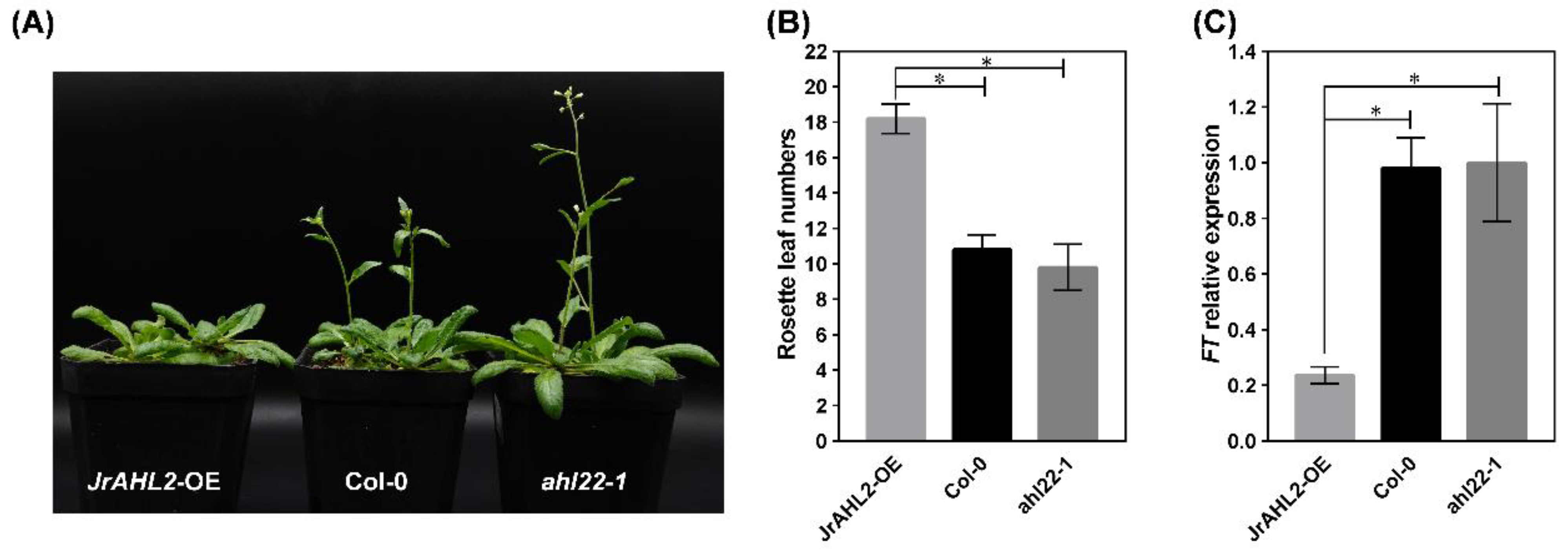 Ijms 24 07244 g011 Ijms 24 07244 g011