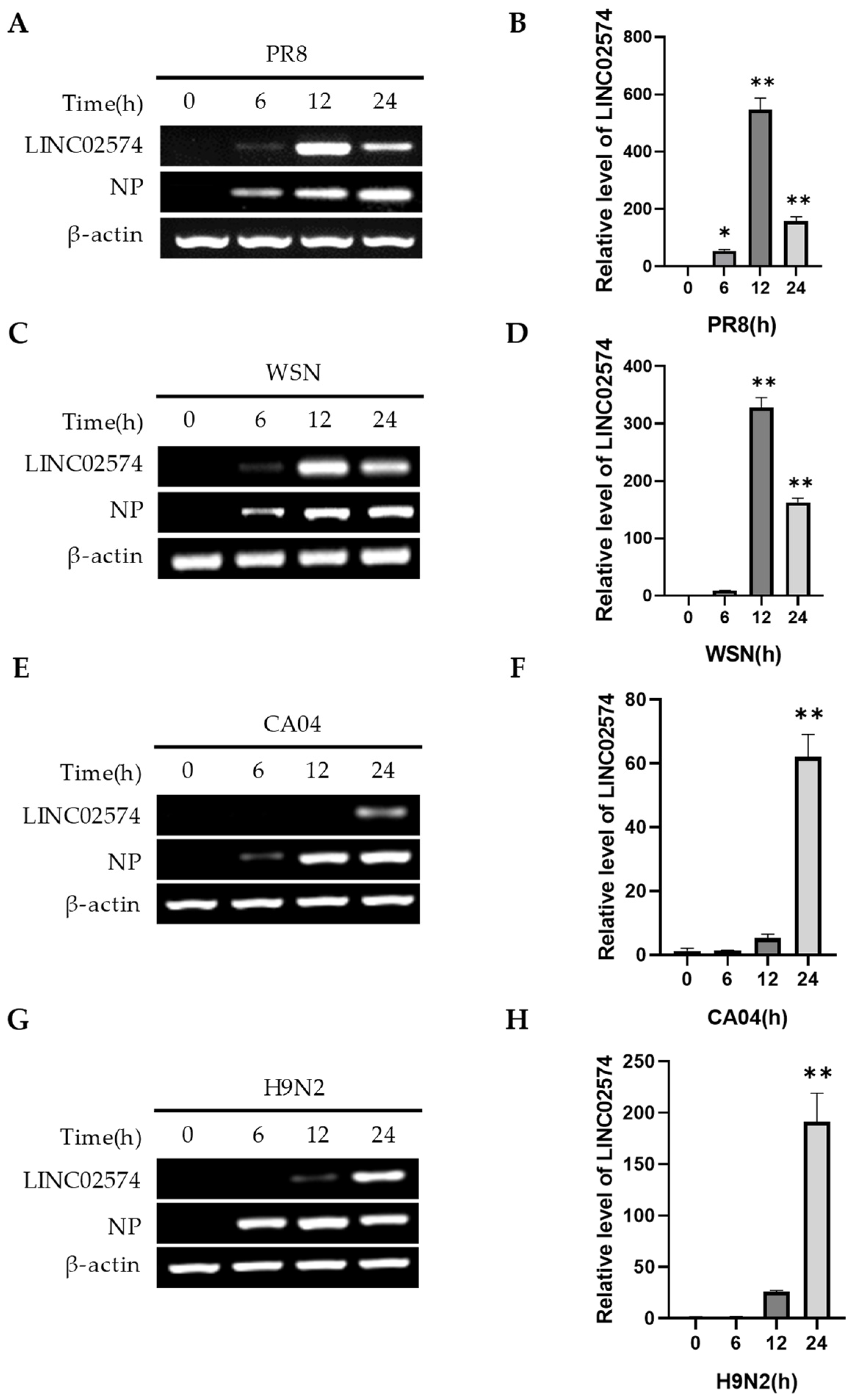 Ijms 24 07248 g002 Ijms 24 07248 g002