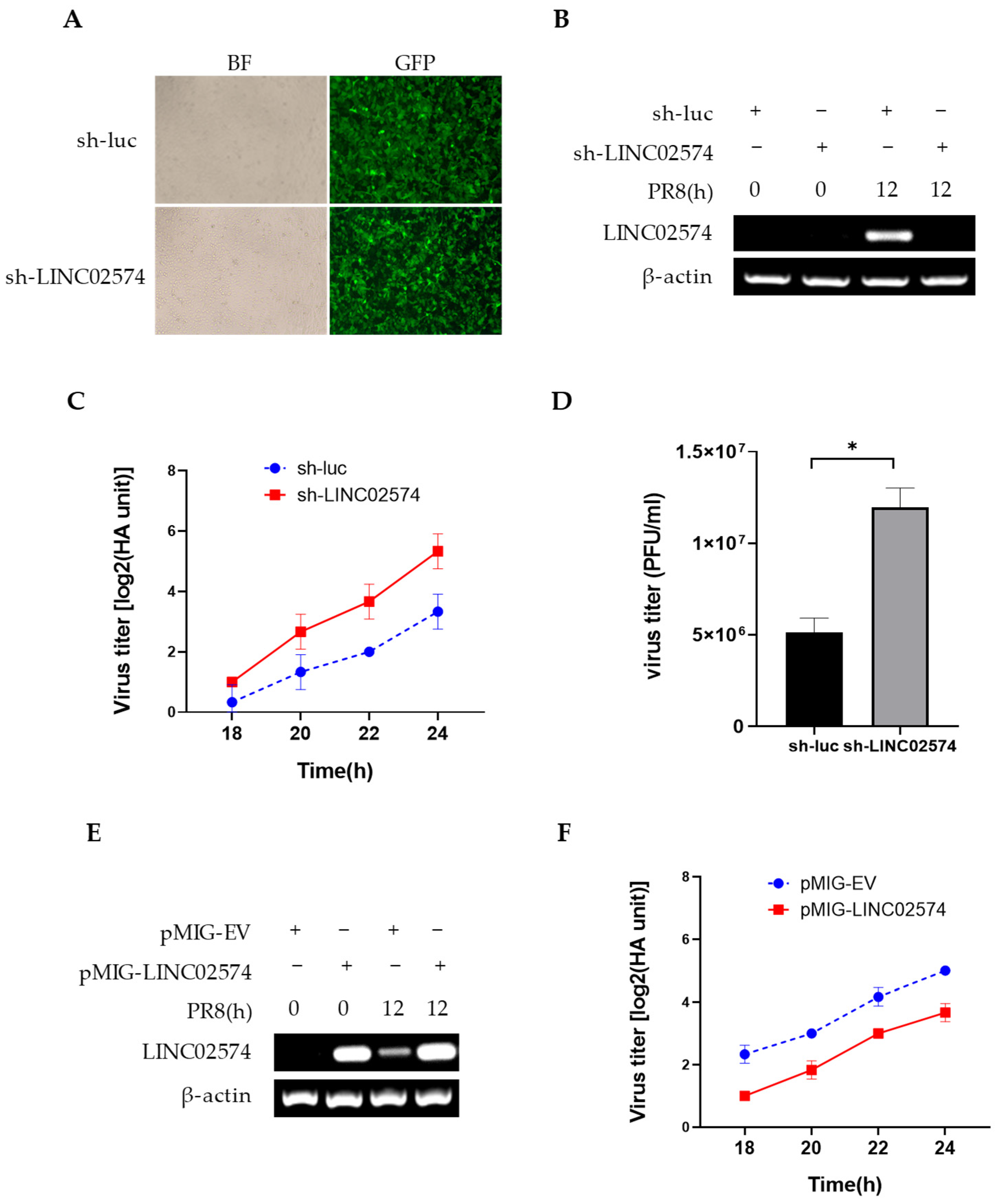Ijms 24 07248 g005 Ijms 24 07248 g005