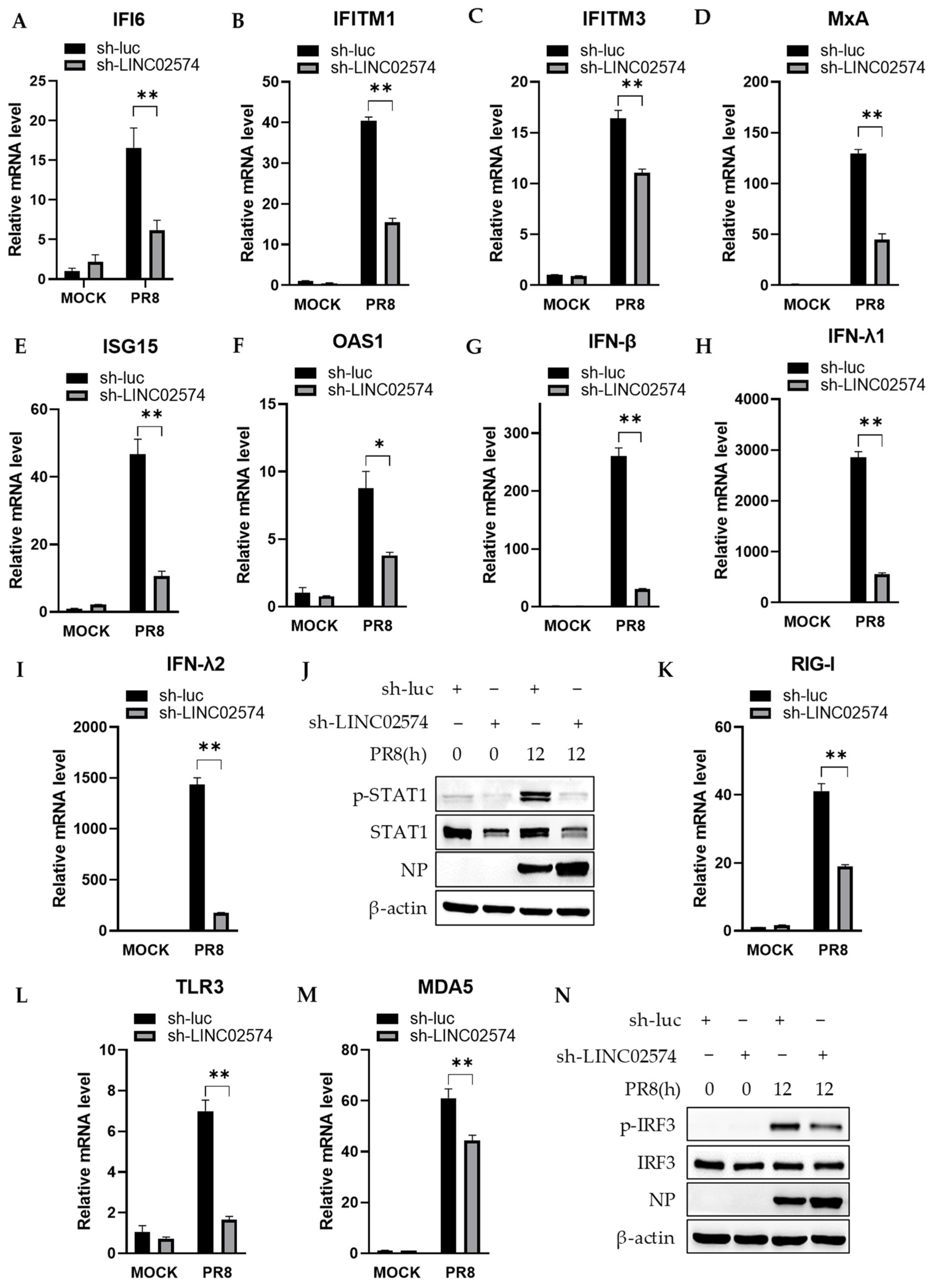 Ijms 24 07248 g006 Ijms 24 07248 g006