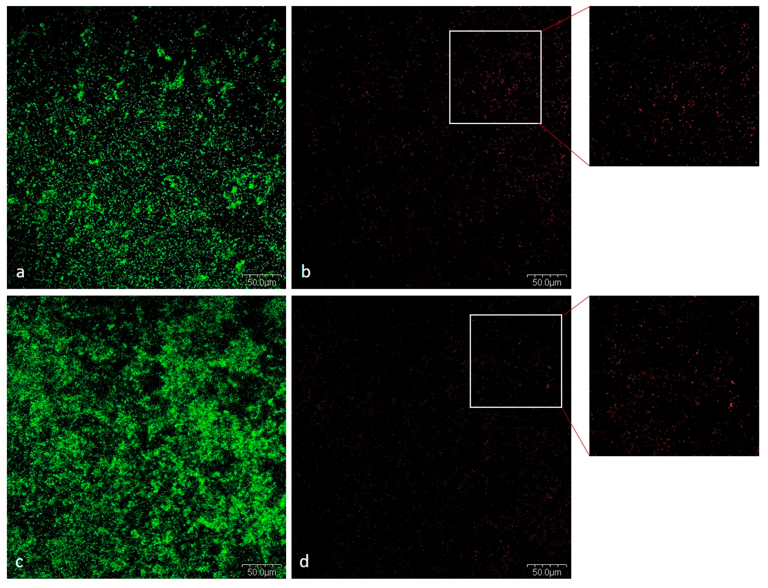 Ijms 24 07249 g006 Ijms 24 07249 g006