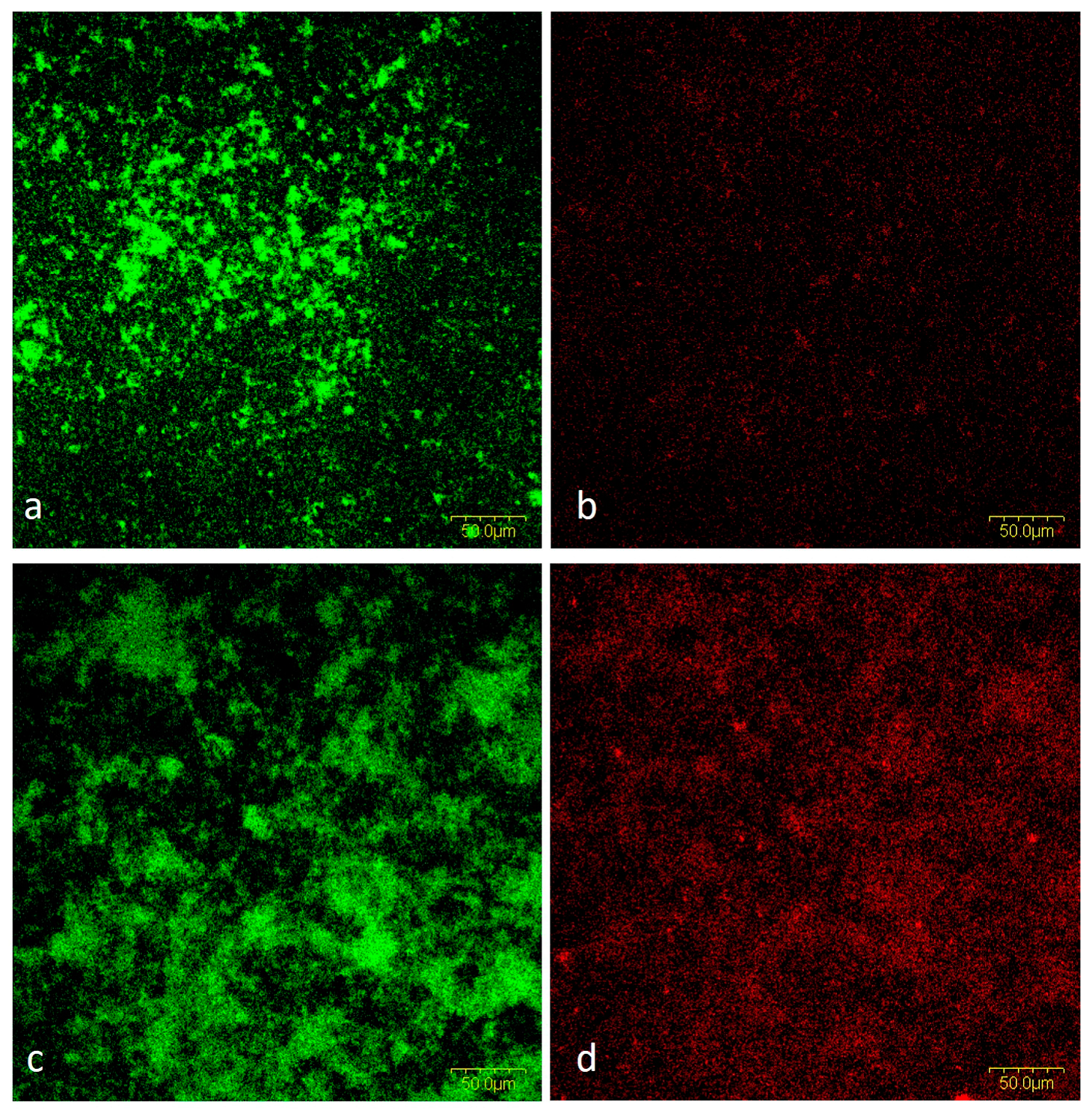 Ijms 24 07249 g007 Ijms 24 07249 g007