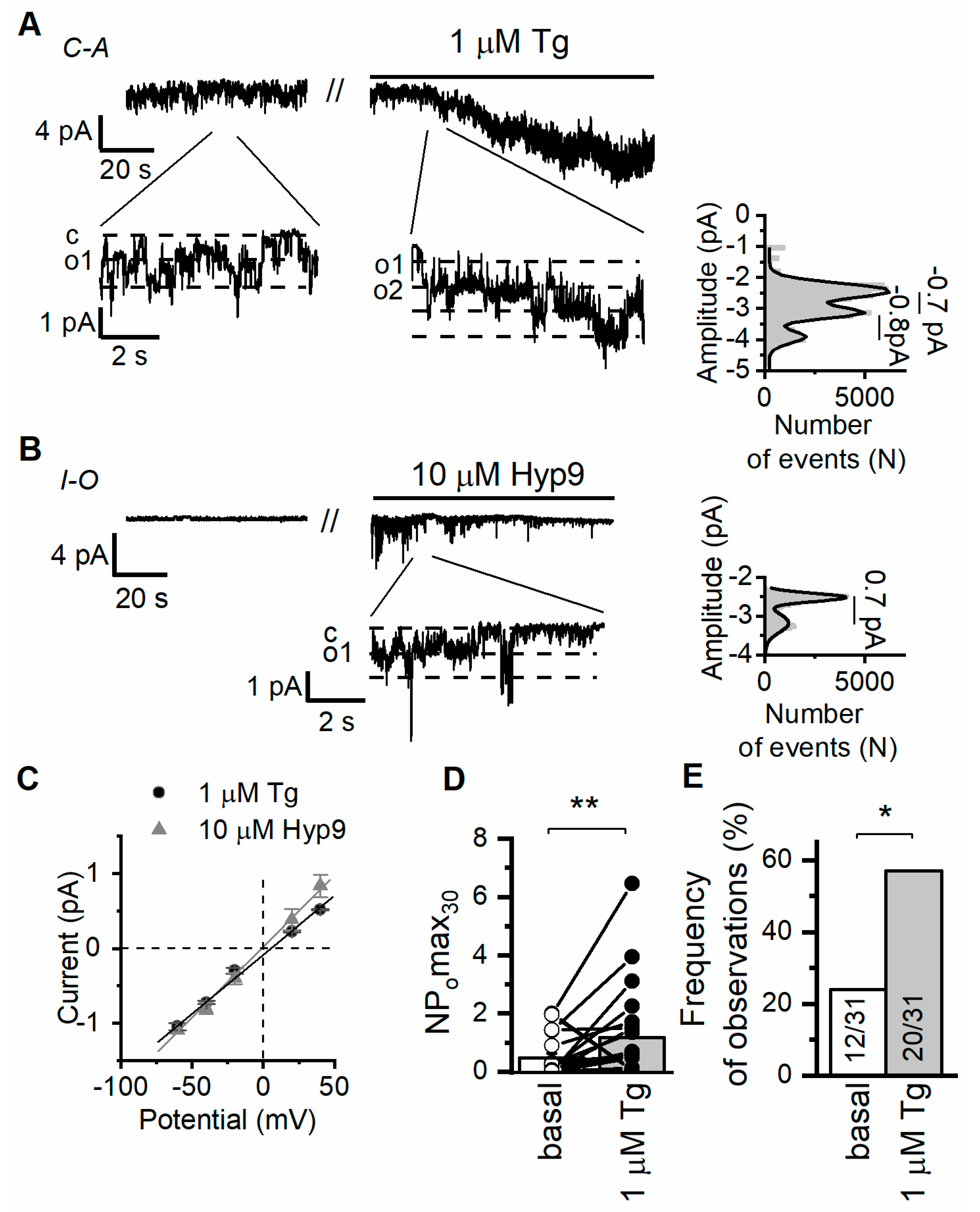 Ijms 24 07259 g001 Ijms 24 07259 g001