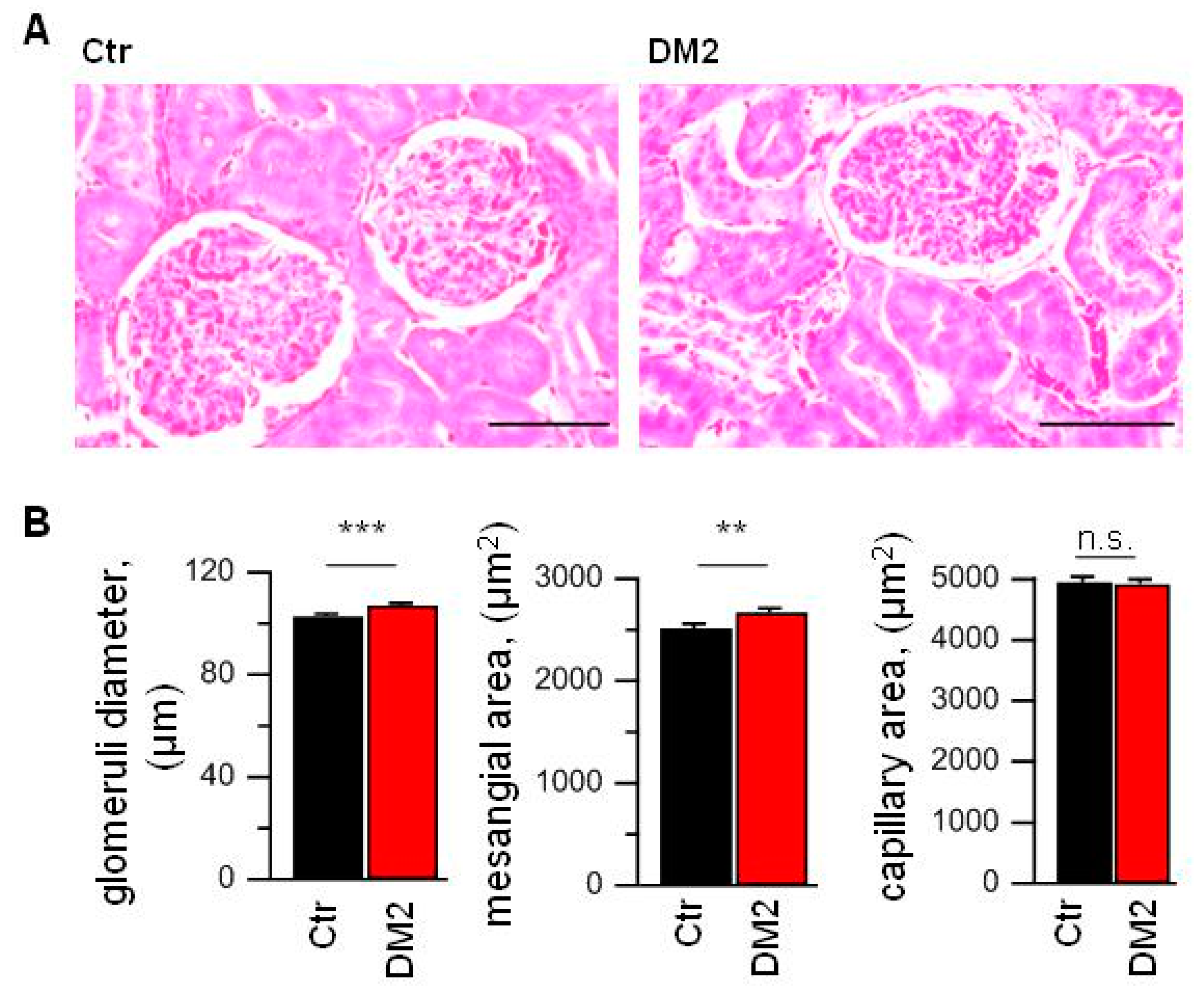 Ijms 24 07259 g003 Ijms 24 07259 g003