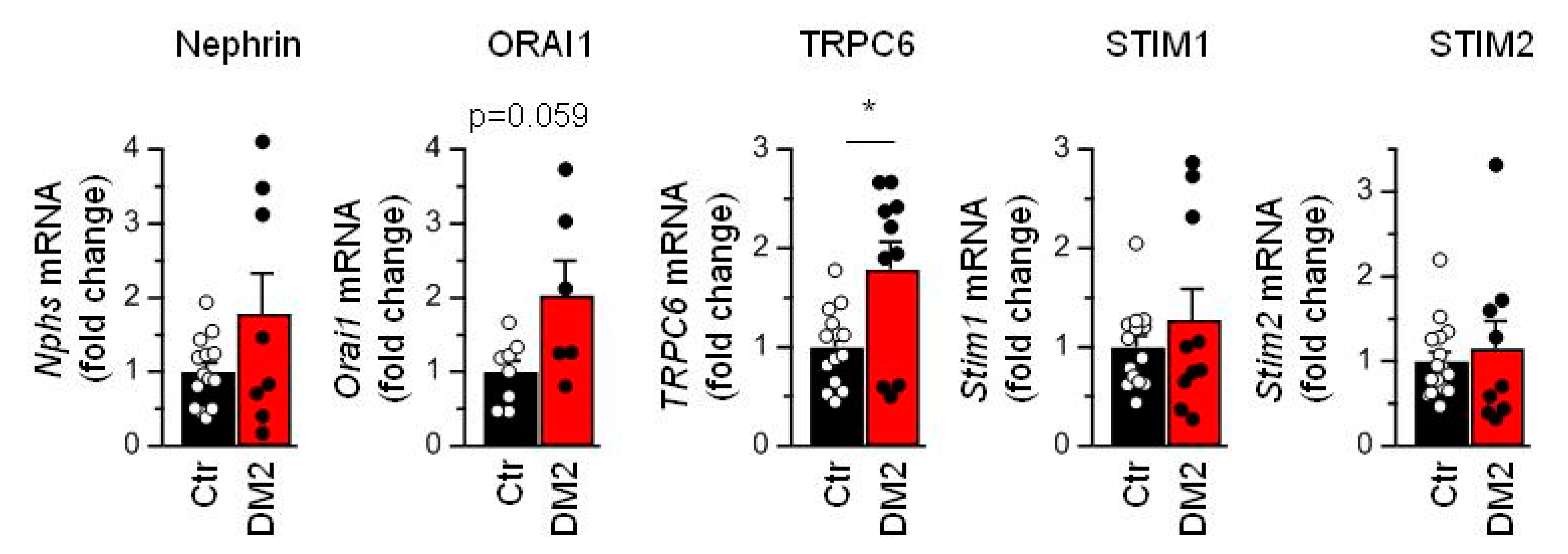 Ijms 24 07259 g005 Ijms 24 07259 g005