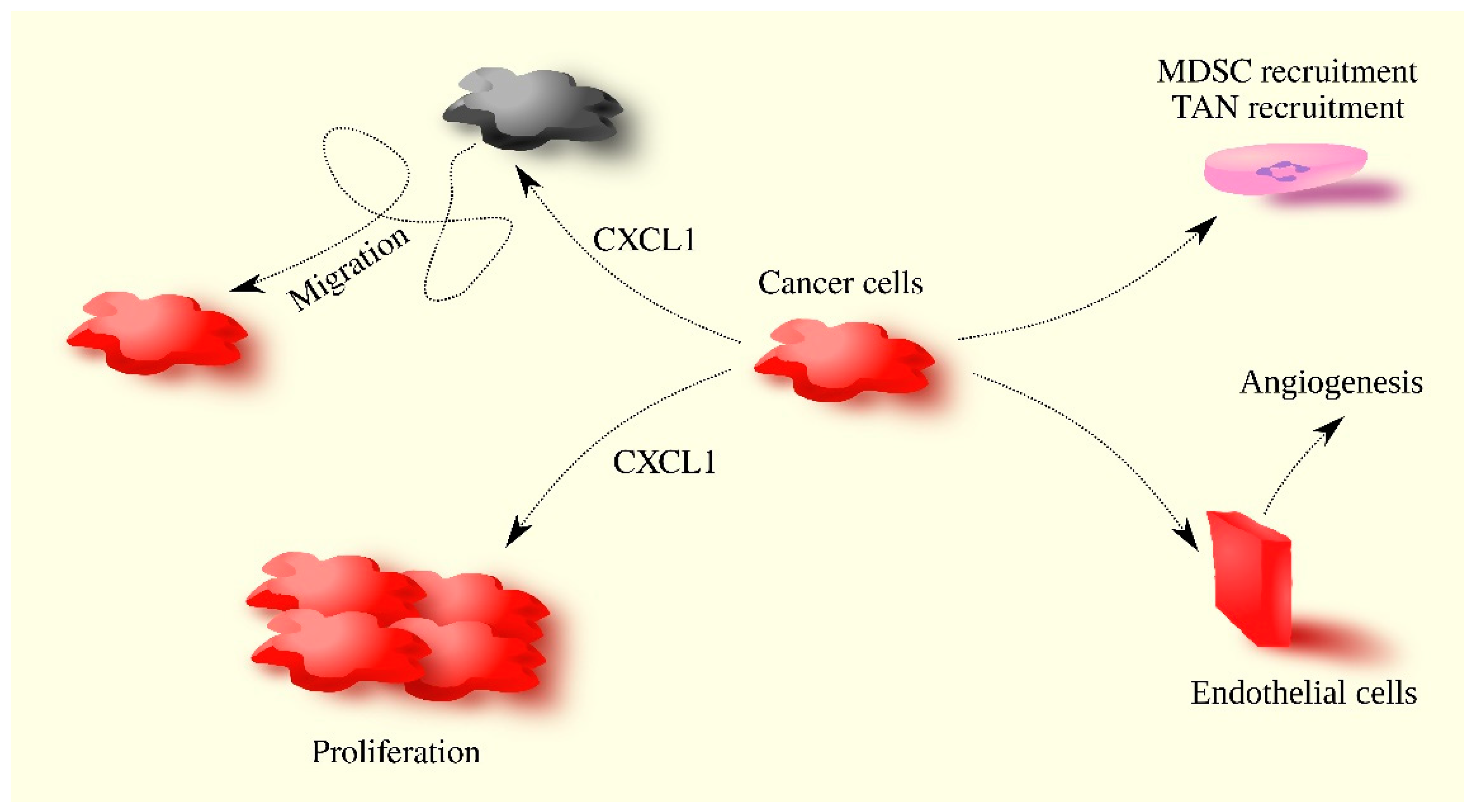 Ijms 24 07262 g001 Ijms 24 07262 g001