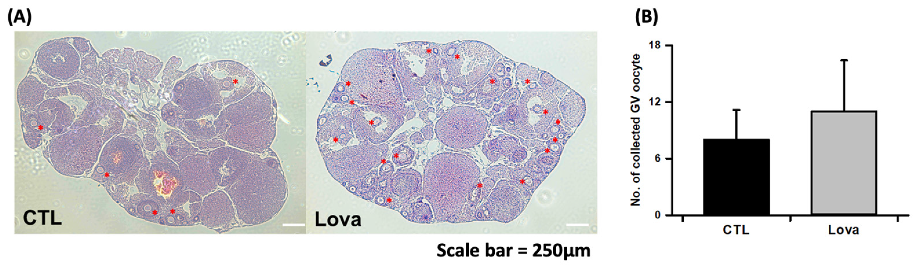 Ijms 24 07263 g002 Ijms 24 07263 g002