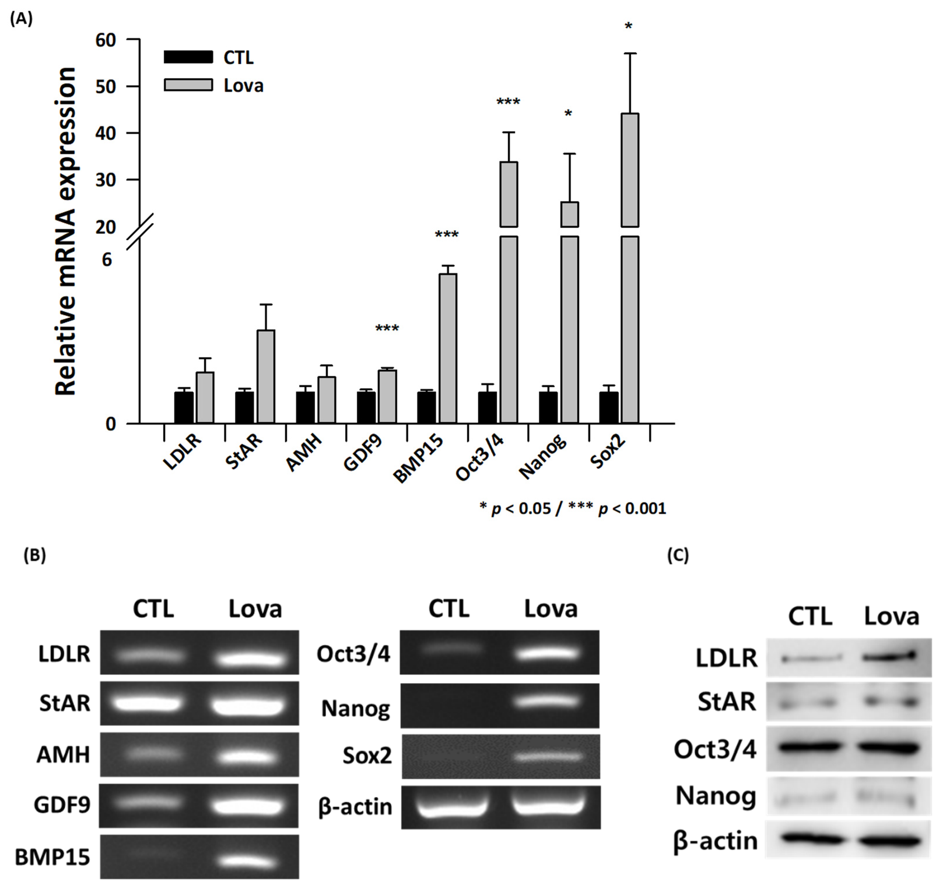 Ijms 24 07263 g003 Ijms 24 07263 g003