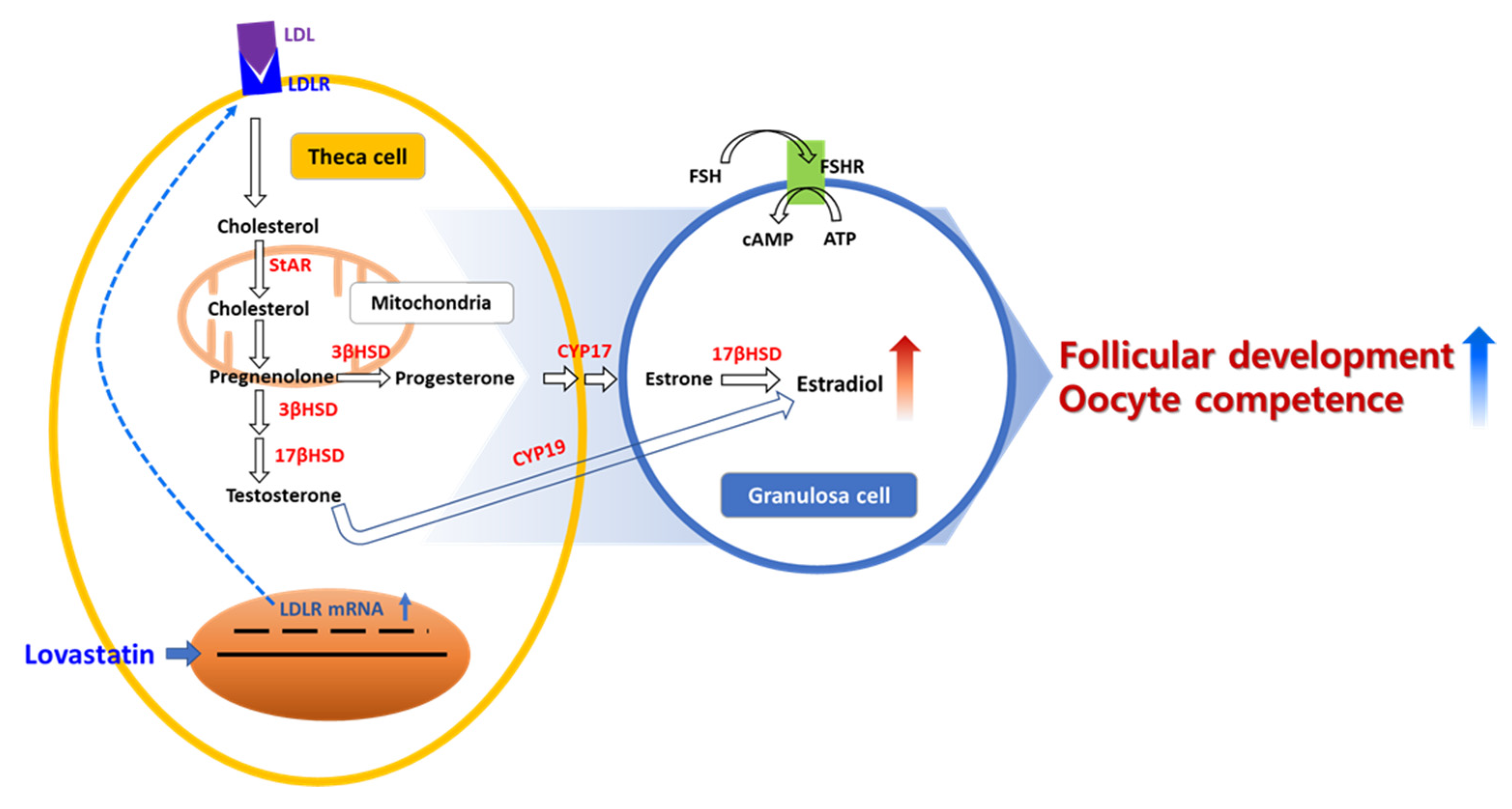 Ijms 24 07263 g005 Ijms 24 07263 g005