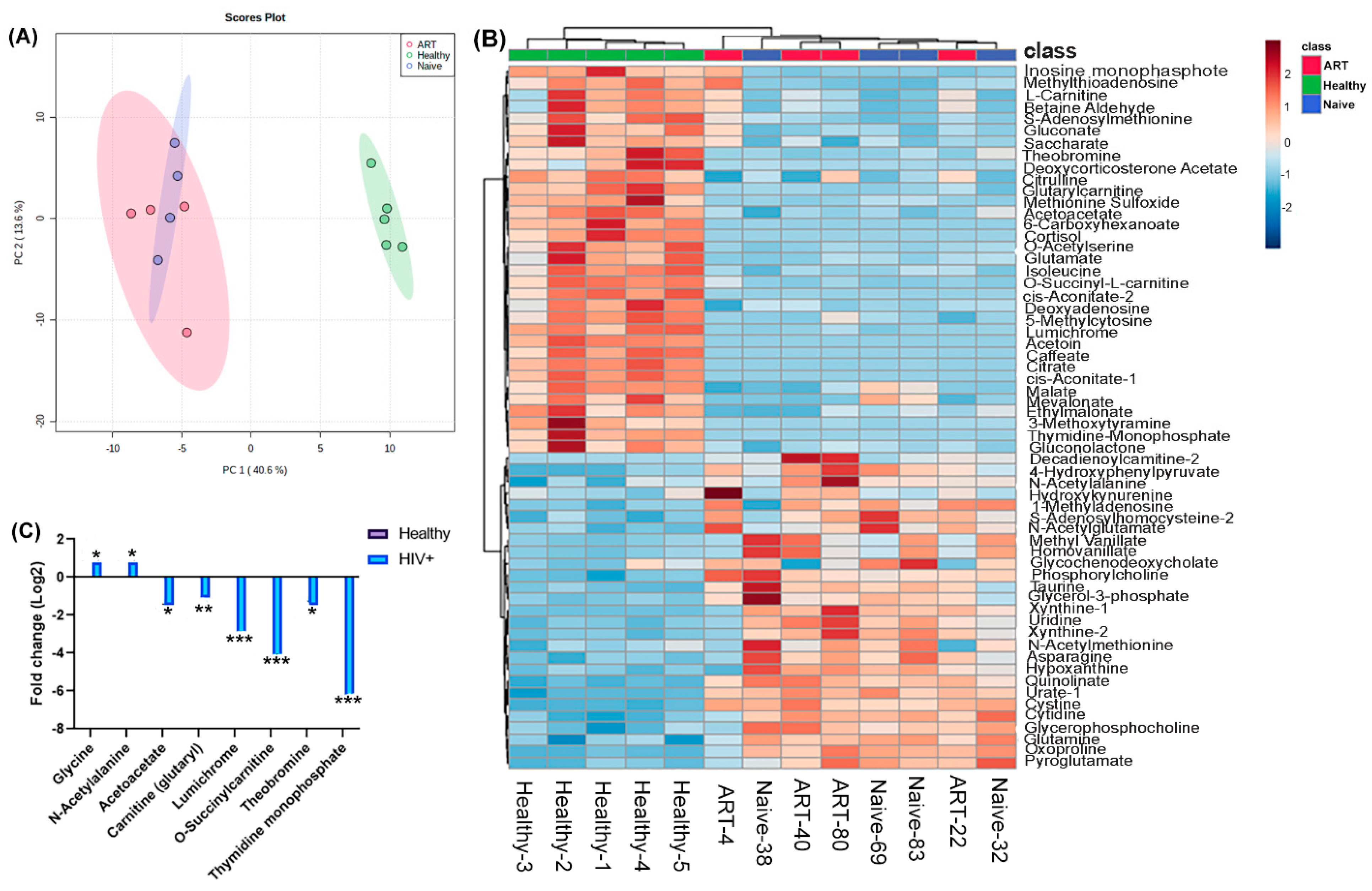 Ijms 24 07267 g001 Ijms 24 07267 g001