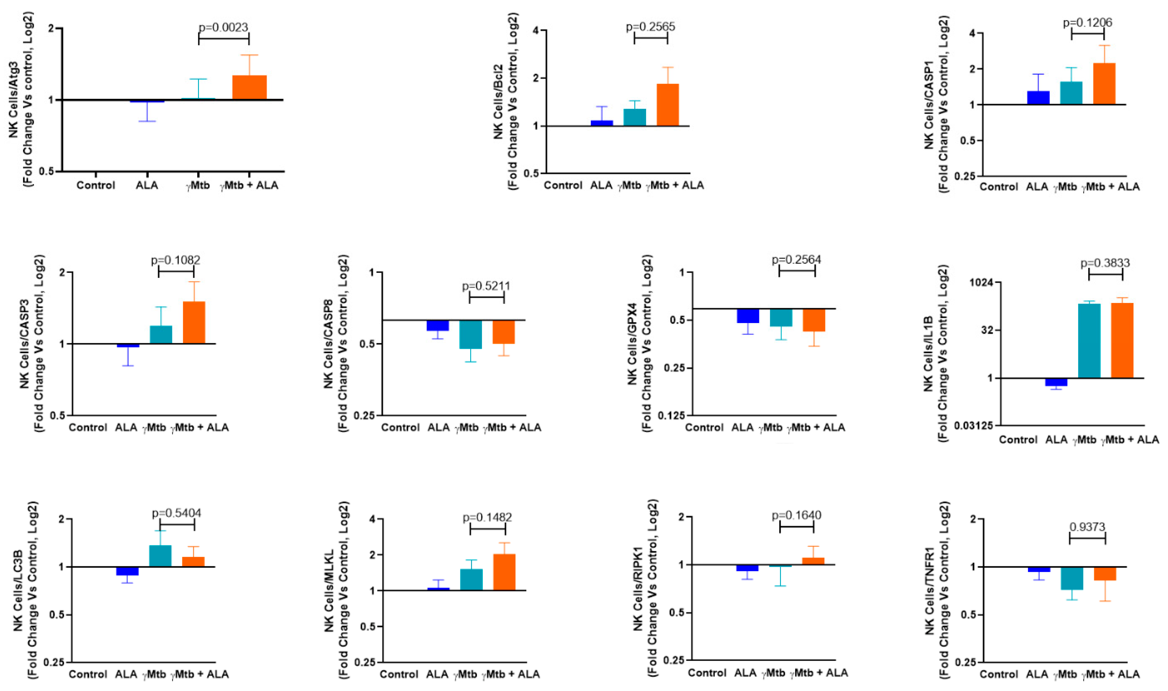 Ijms 24 07267 g006 Ijms 24 07267 g006