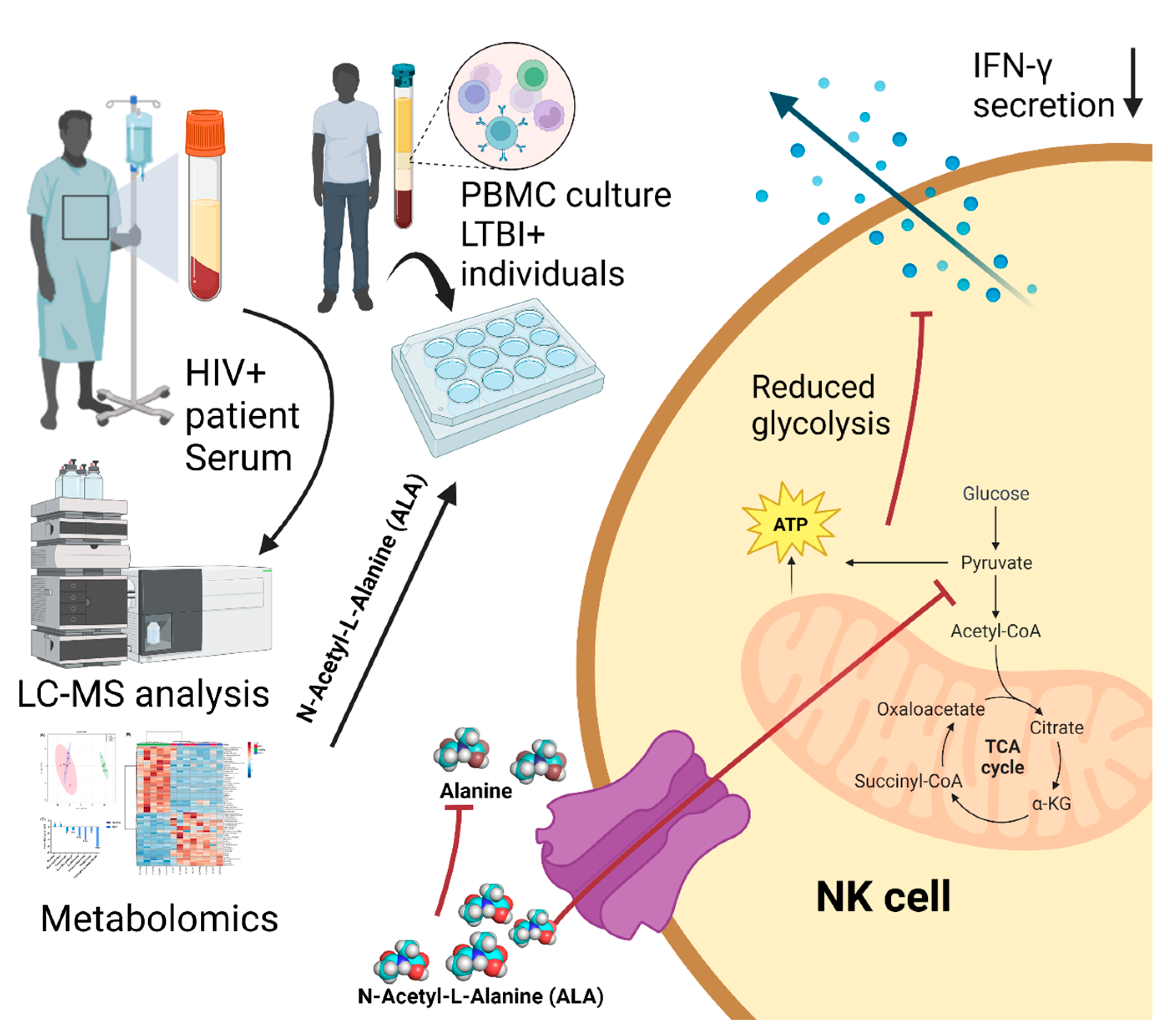 Ijms 24 07267 g008 Ijms 24 07267 g008
