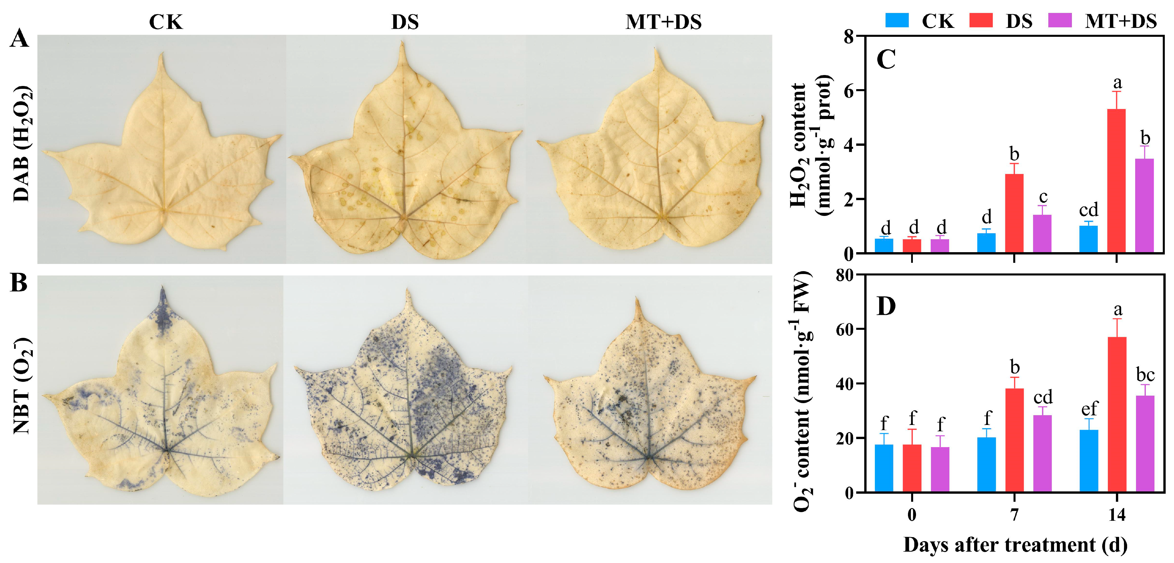 Ijms 24 07269 g007 Ijms 24 07269 g007