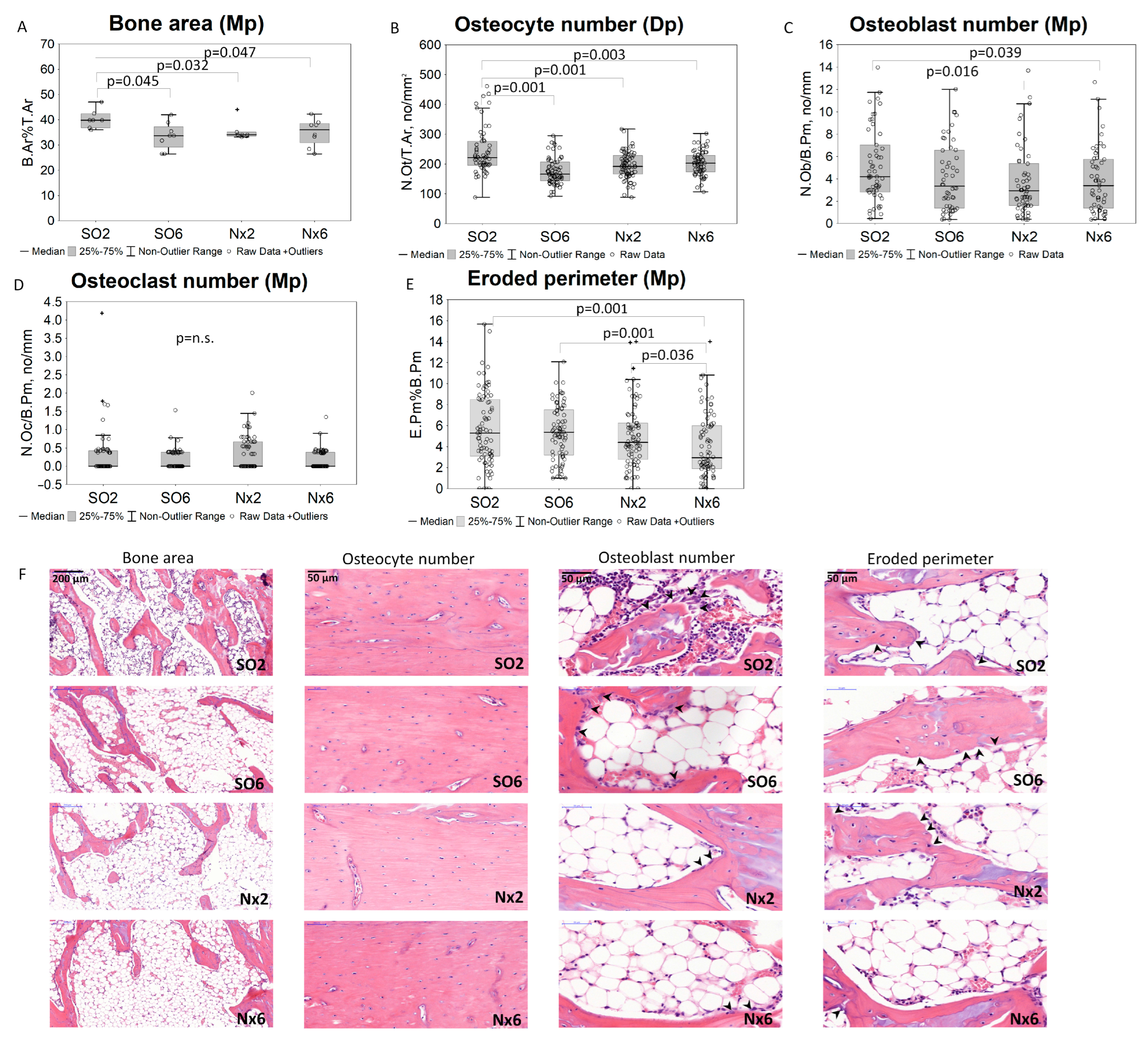 Ijms 24 07270 g001 Ijms 24 07270 g001