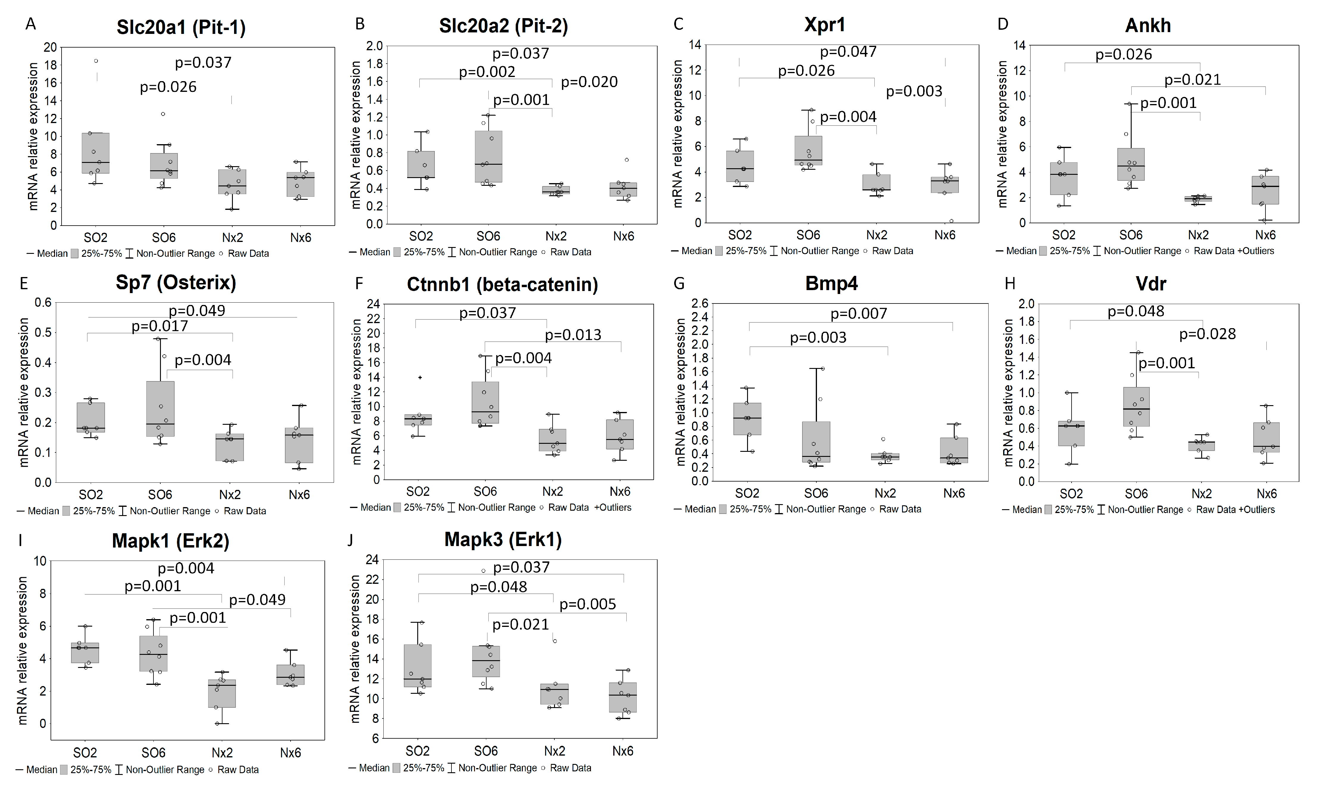 Ijms 24 07270 g002 Ijms 24 07270 g002