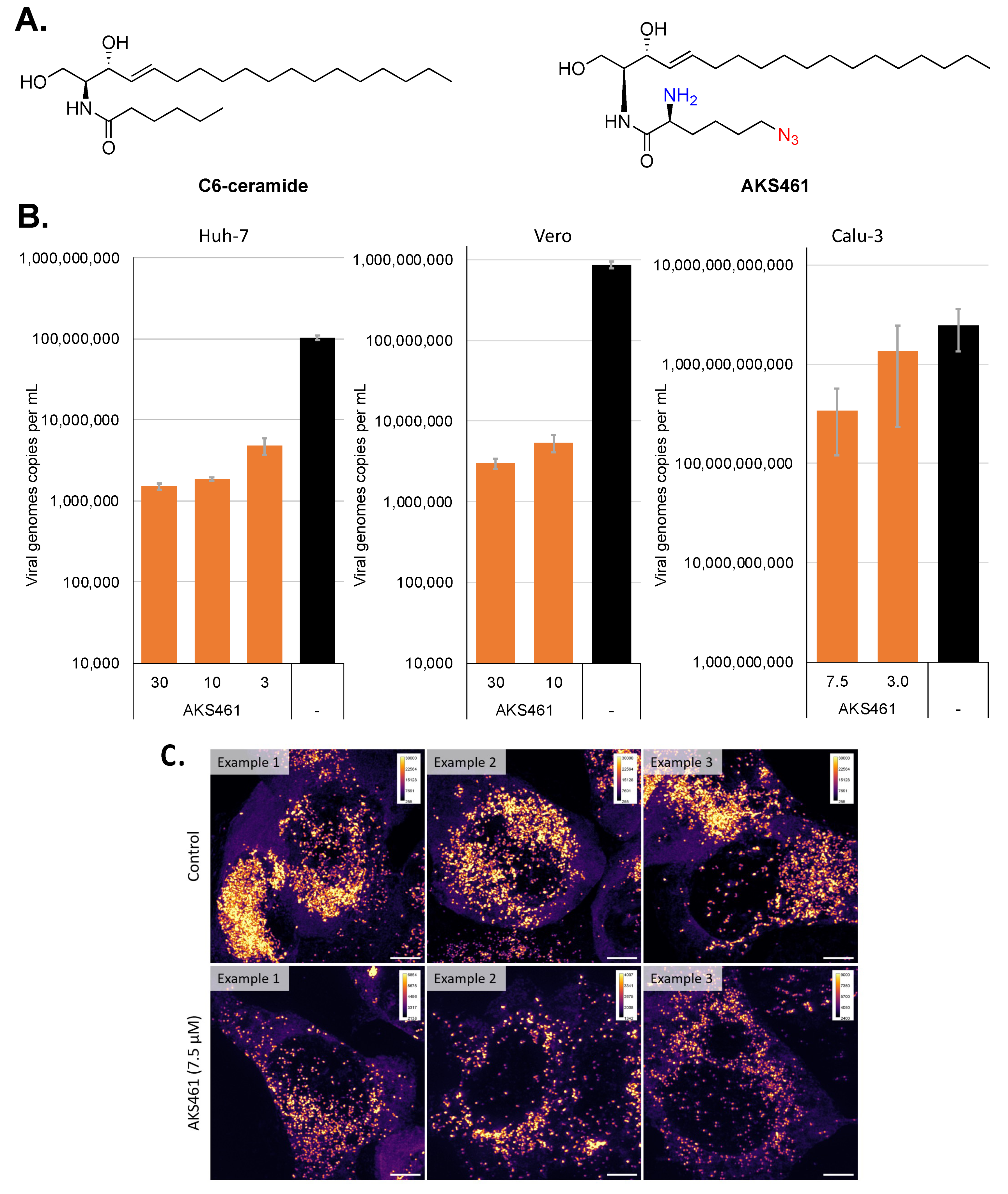 Ijms 24 07281 g001 Ijms 24 07281 g001