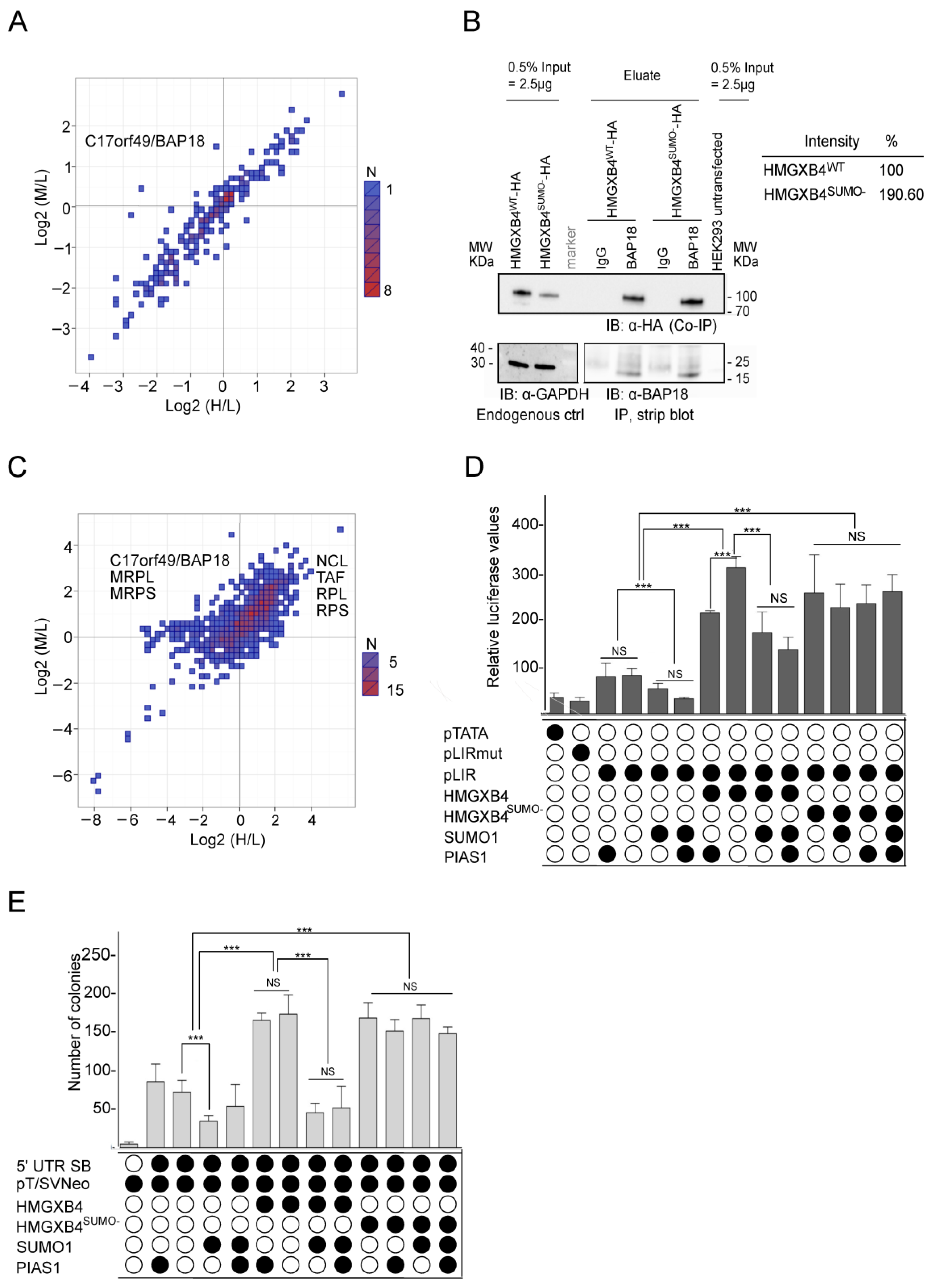 Ijms 24 07283 g002 Ijms 24 07283 g002
