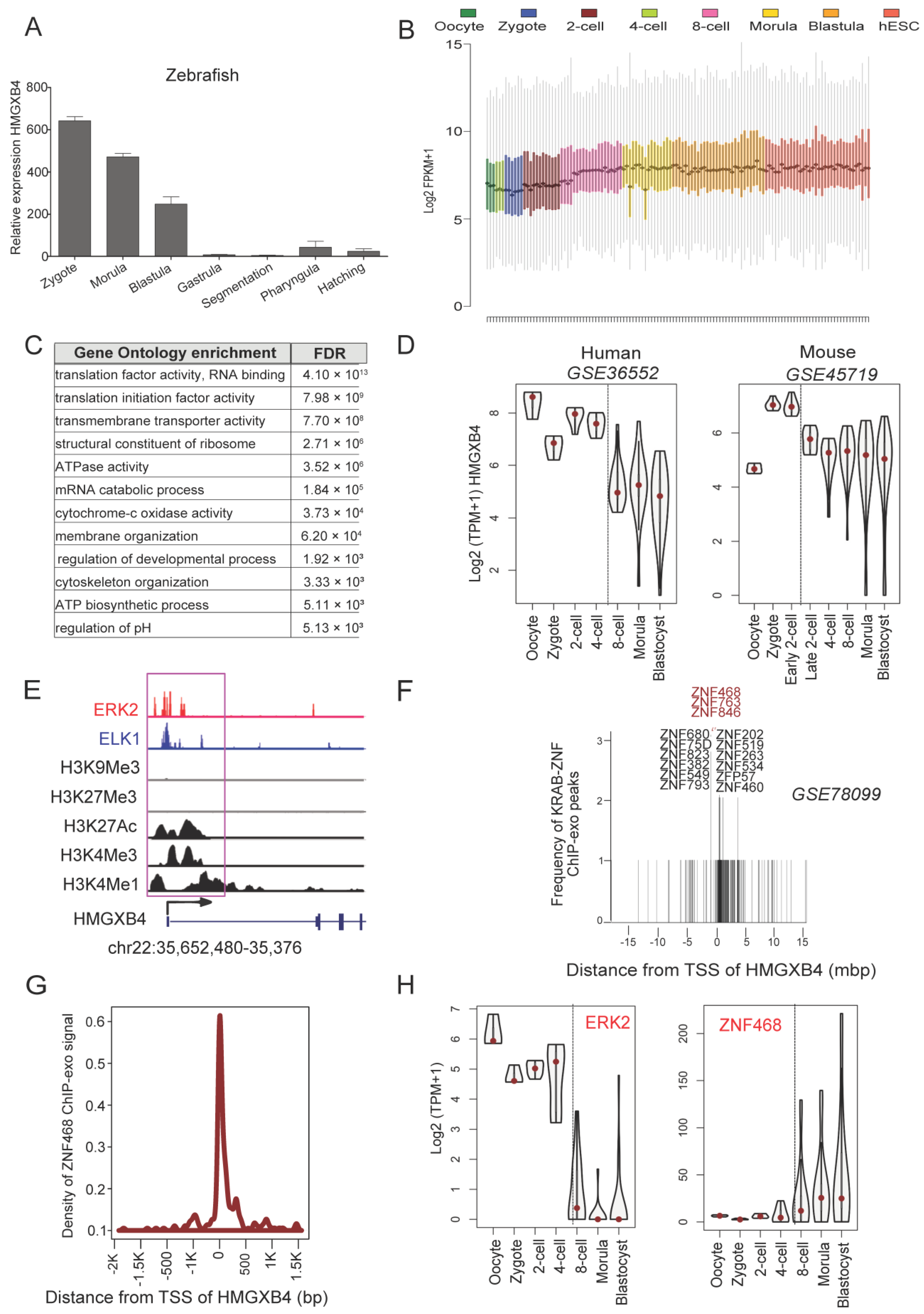 Ijms 24 07283 g004 Ijms 24 07283 g004