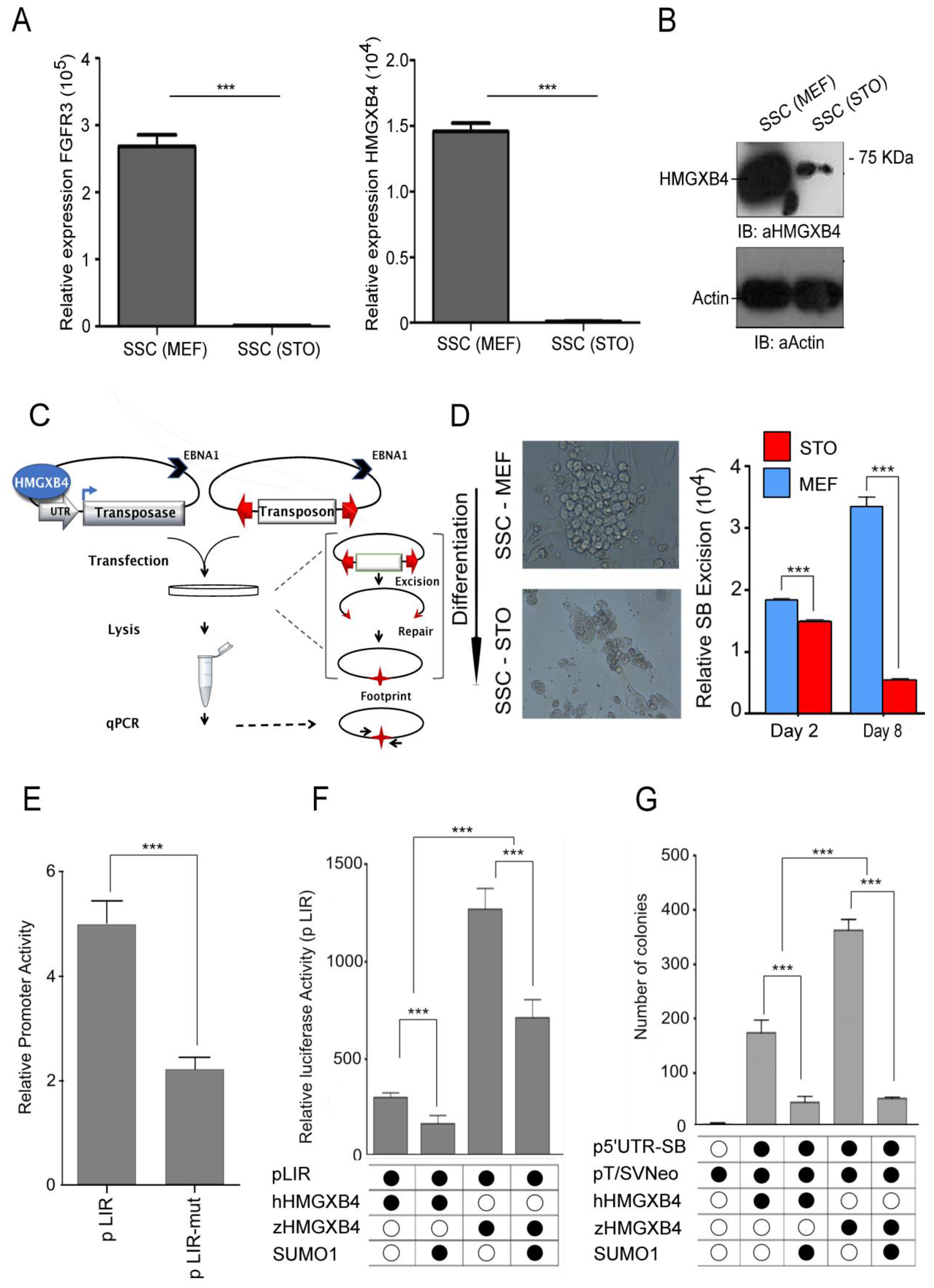 Ijms 24 07283 g006 Ijms 24 07283 g006
