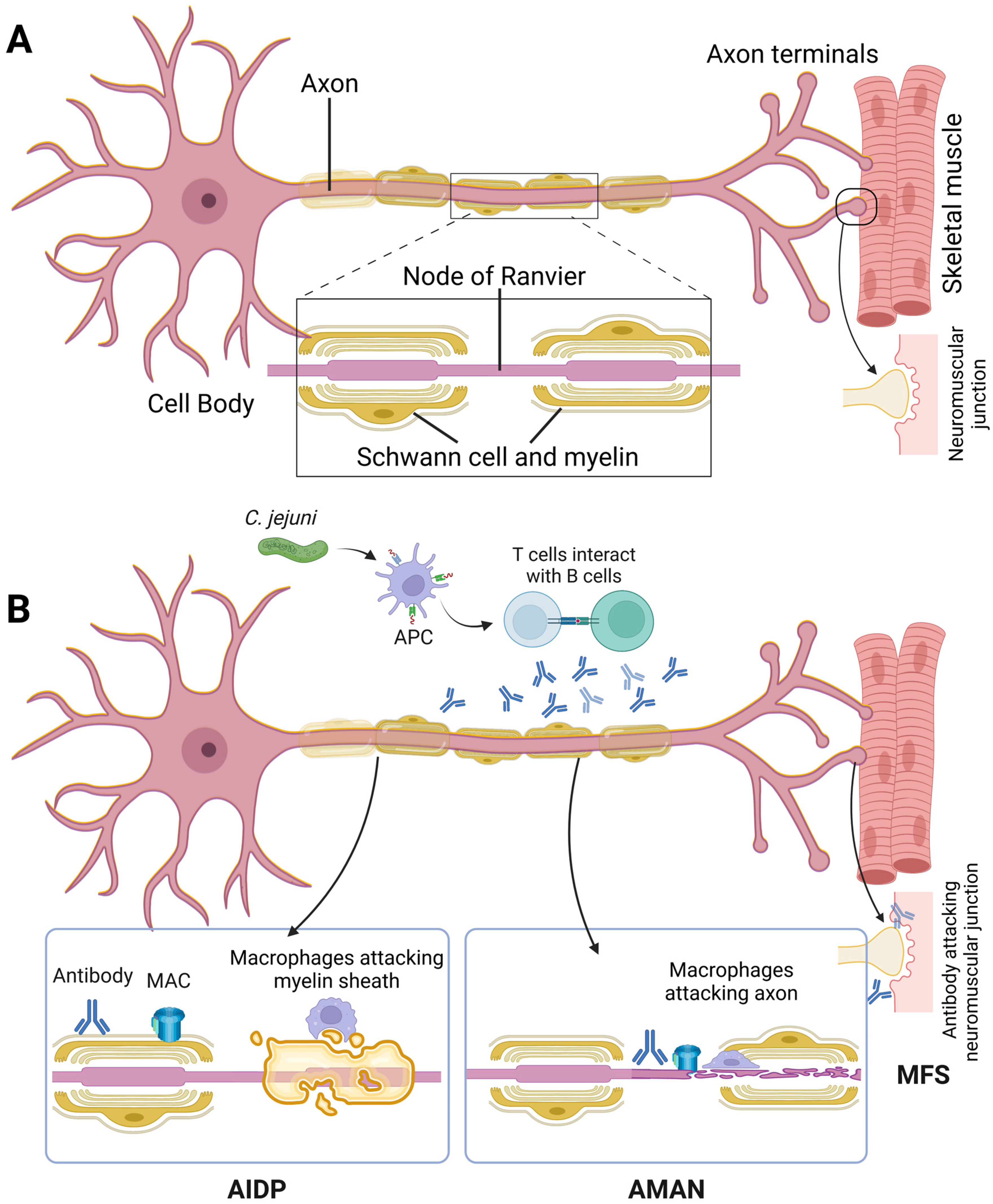 Ijms 24 07288 g001 Ijms 24 07288 g001