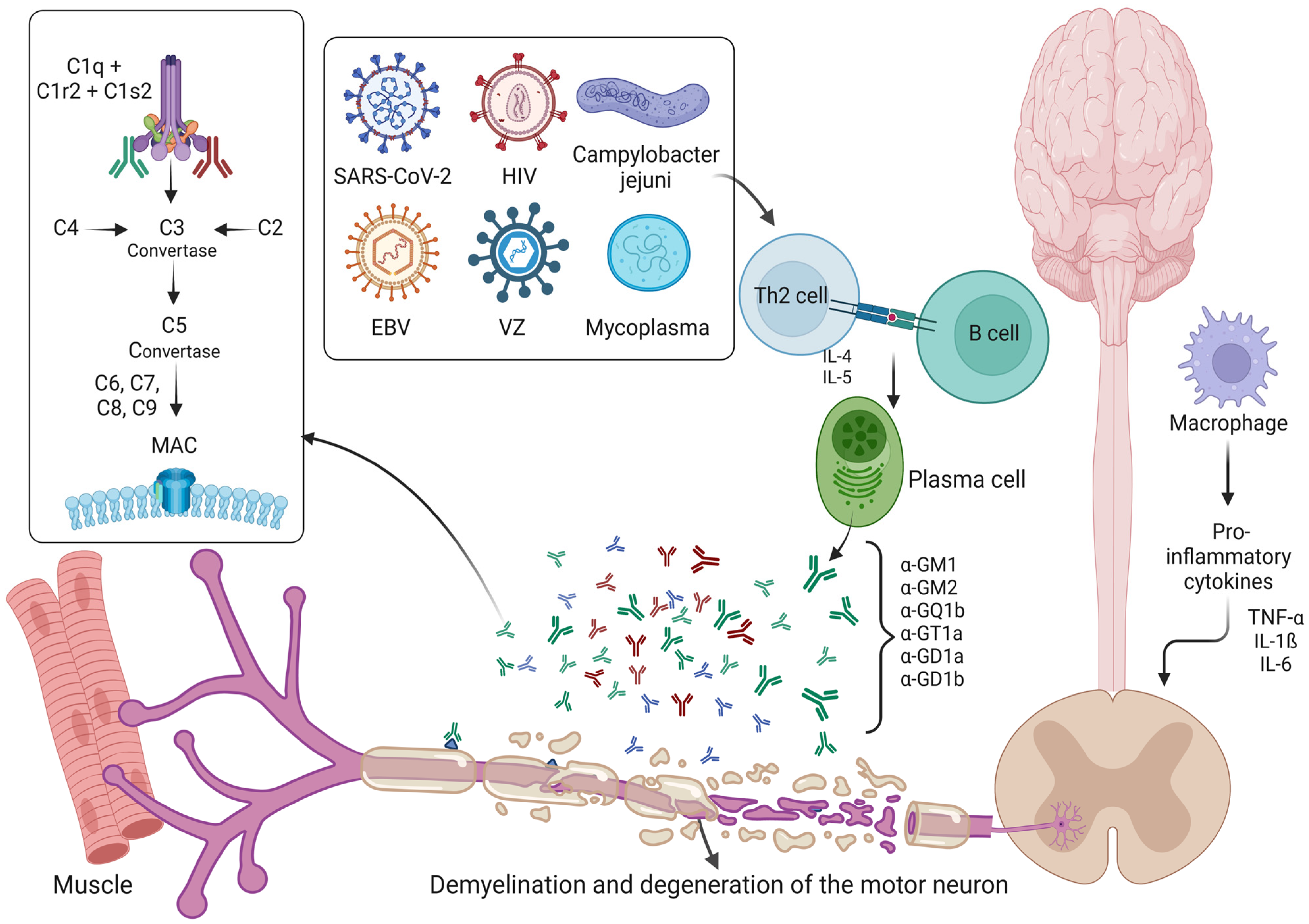 Ijms 24 07288 g002 Ijms 24 07288 g002