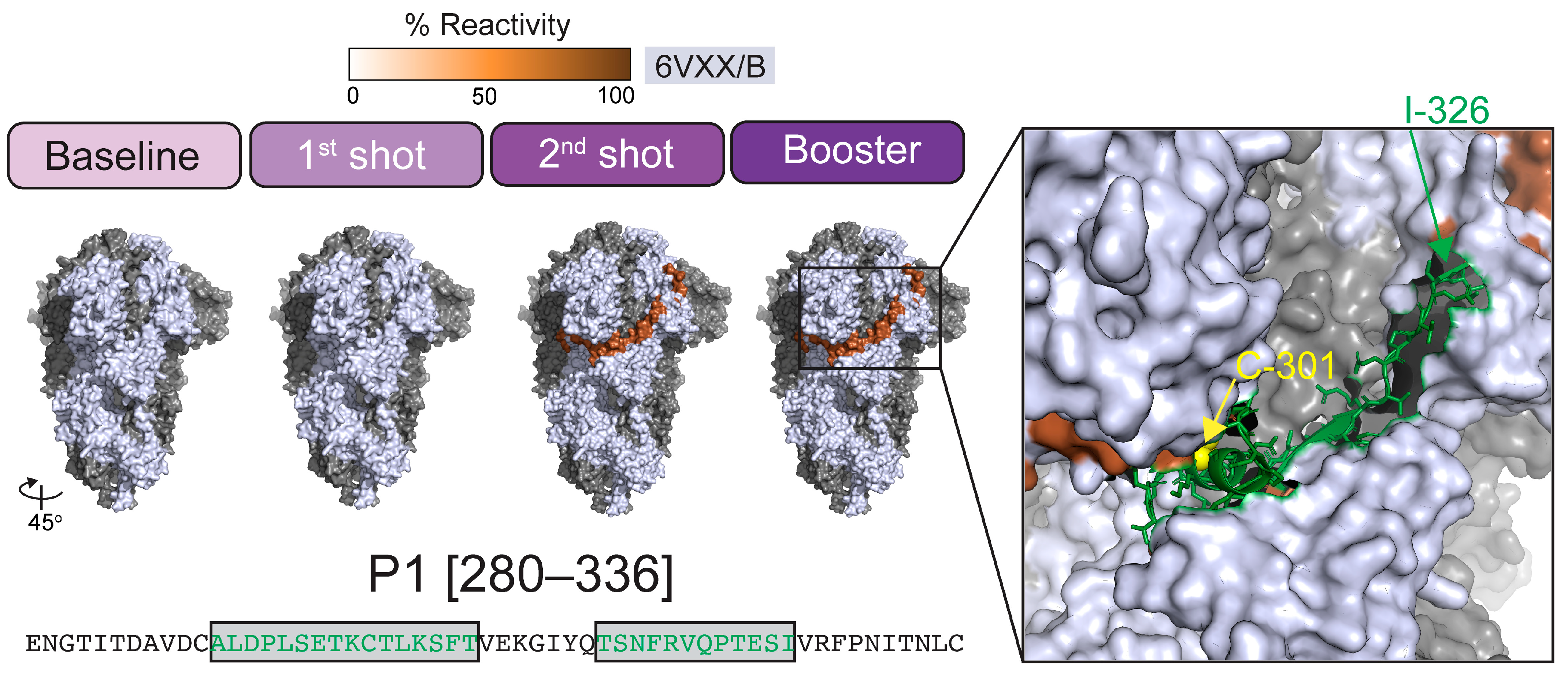 Ijms 24 07292 g004 Ijms 24 07292 g004